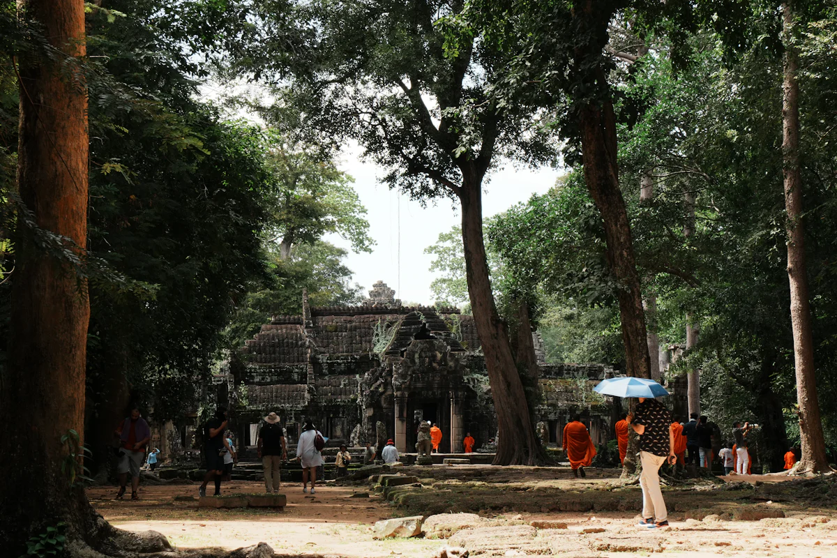 Polo Forest