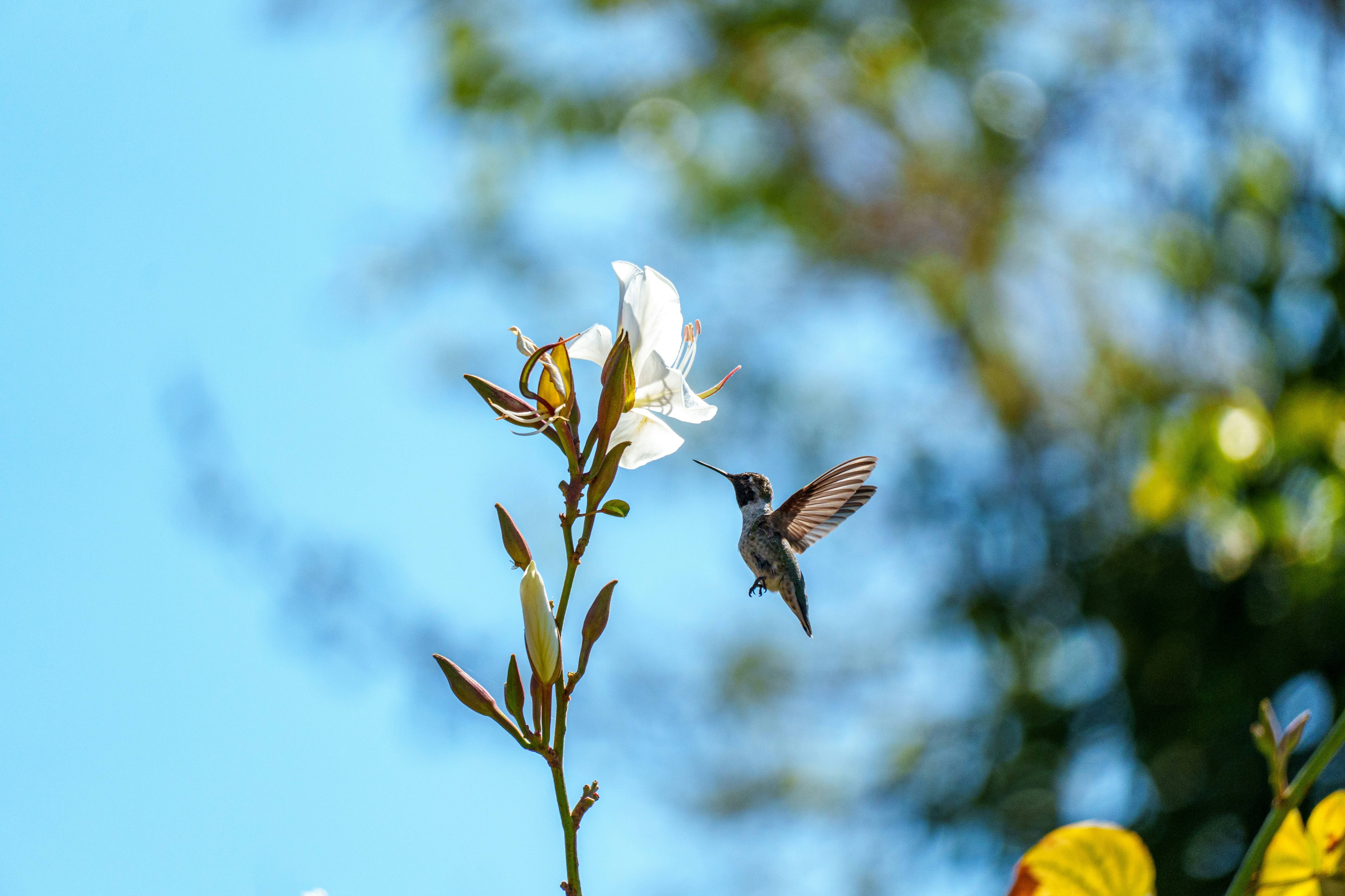 Photo by sizzle_king