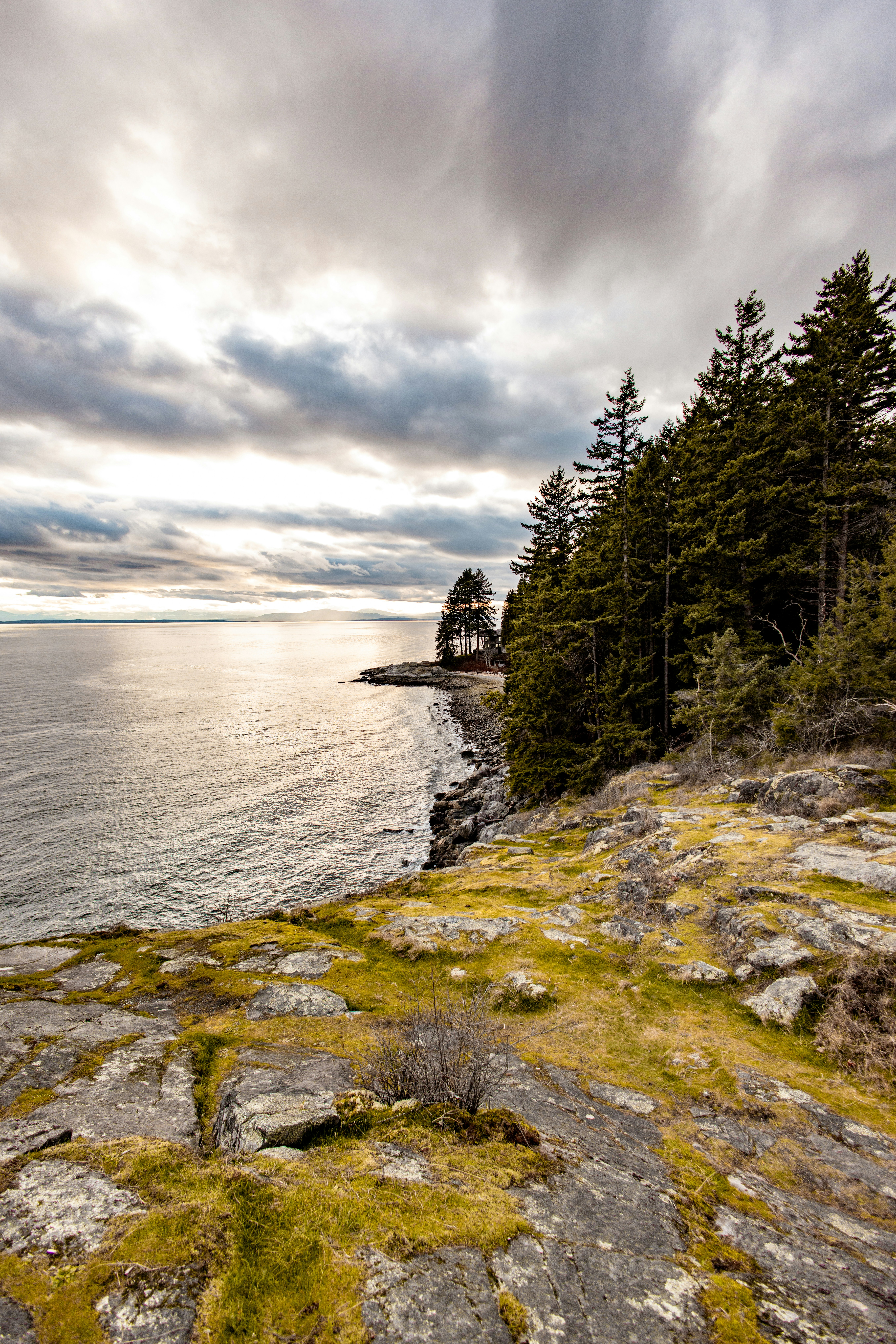 Felsige Küste mit immergrünen Bäumen und Ozean unter bewölktem Himmel