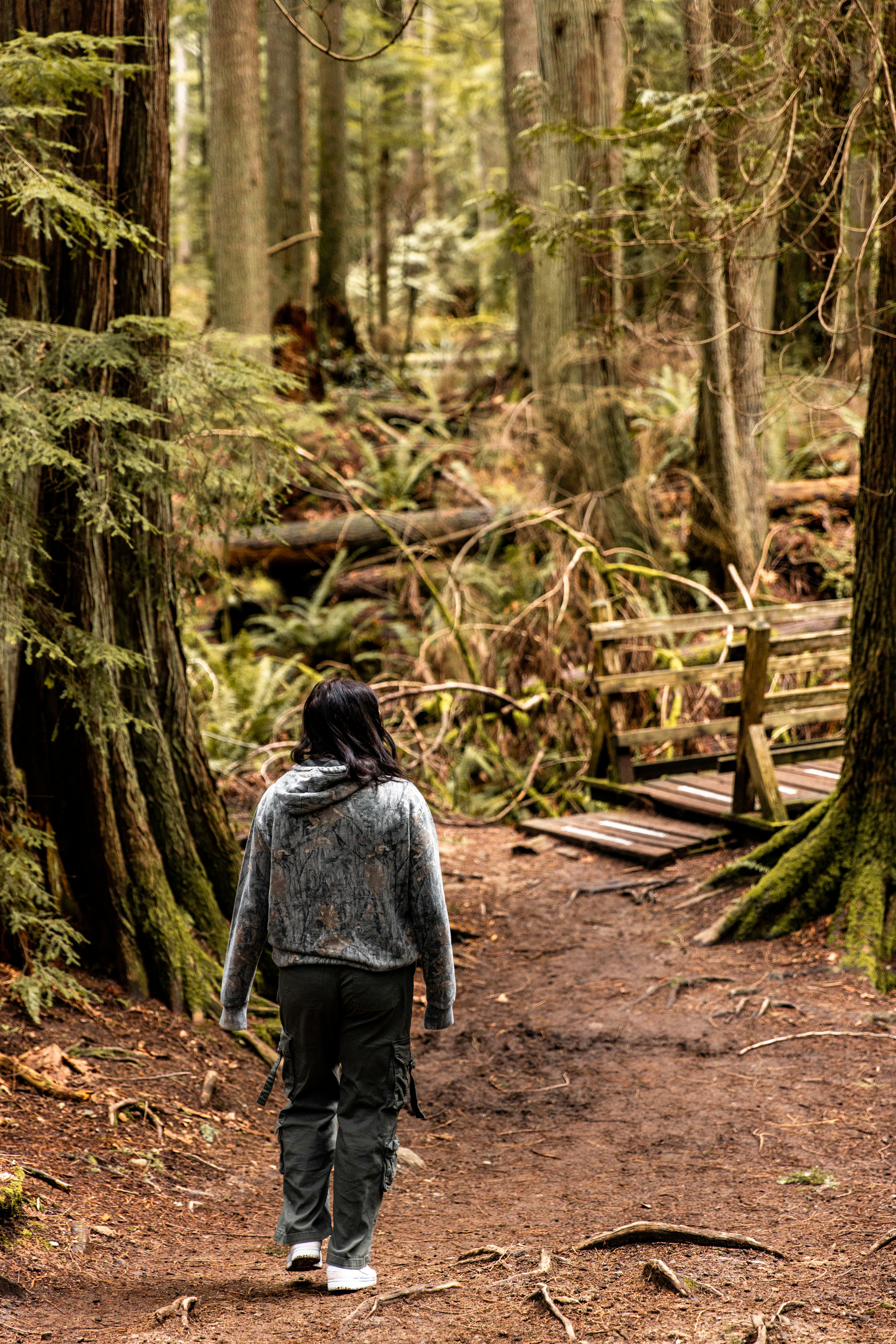 Person, die auf einem Waldweg in der Nähe einer Holzbrücke entlanggeht.