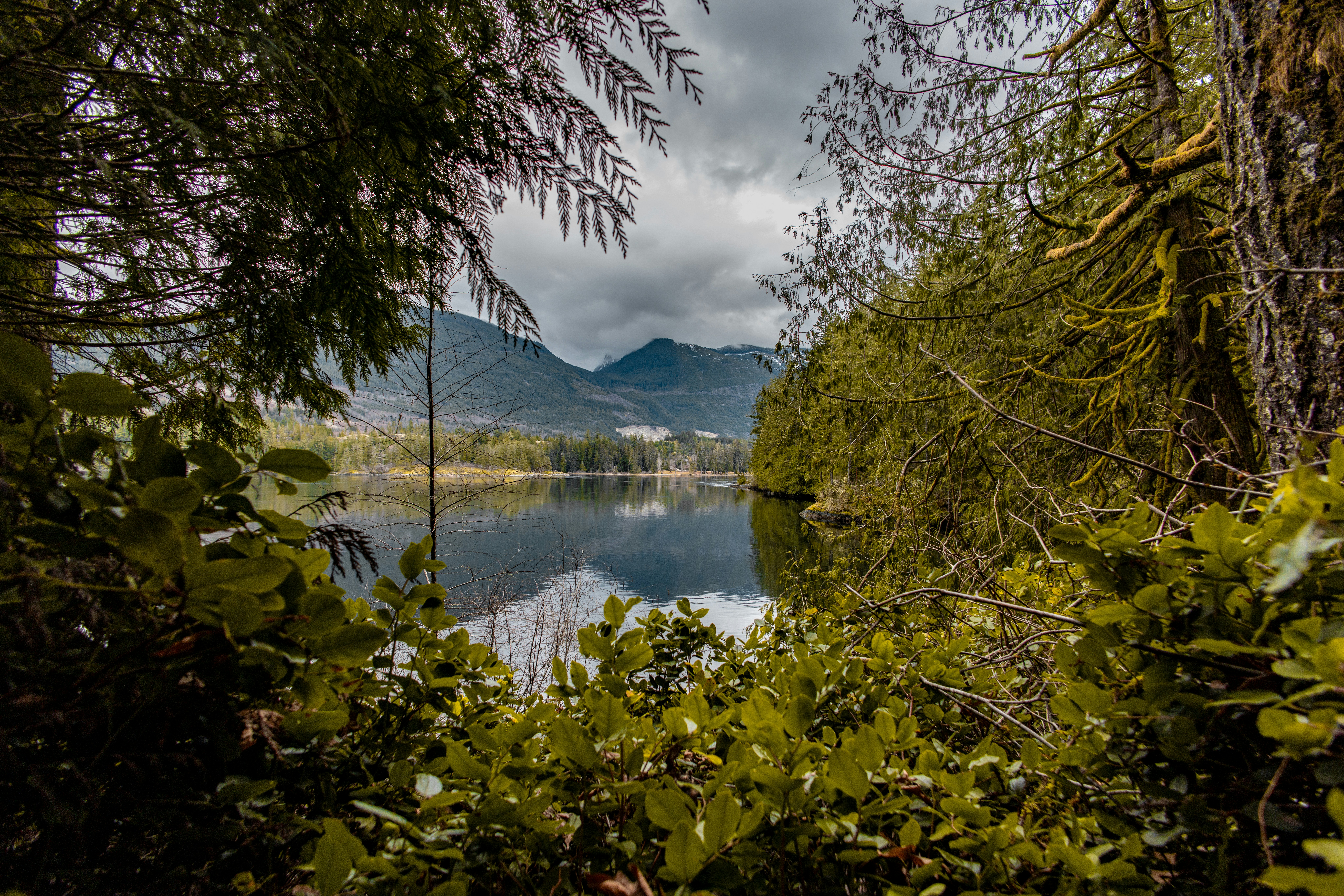 Ein ruhiger See, der Berge durch üppiges Waldlaub spiegelt