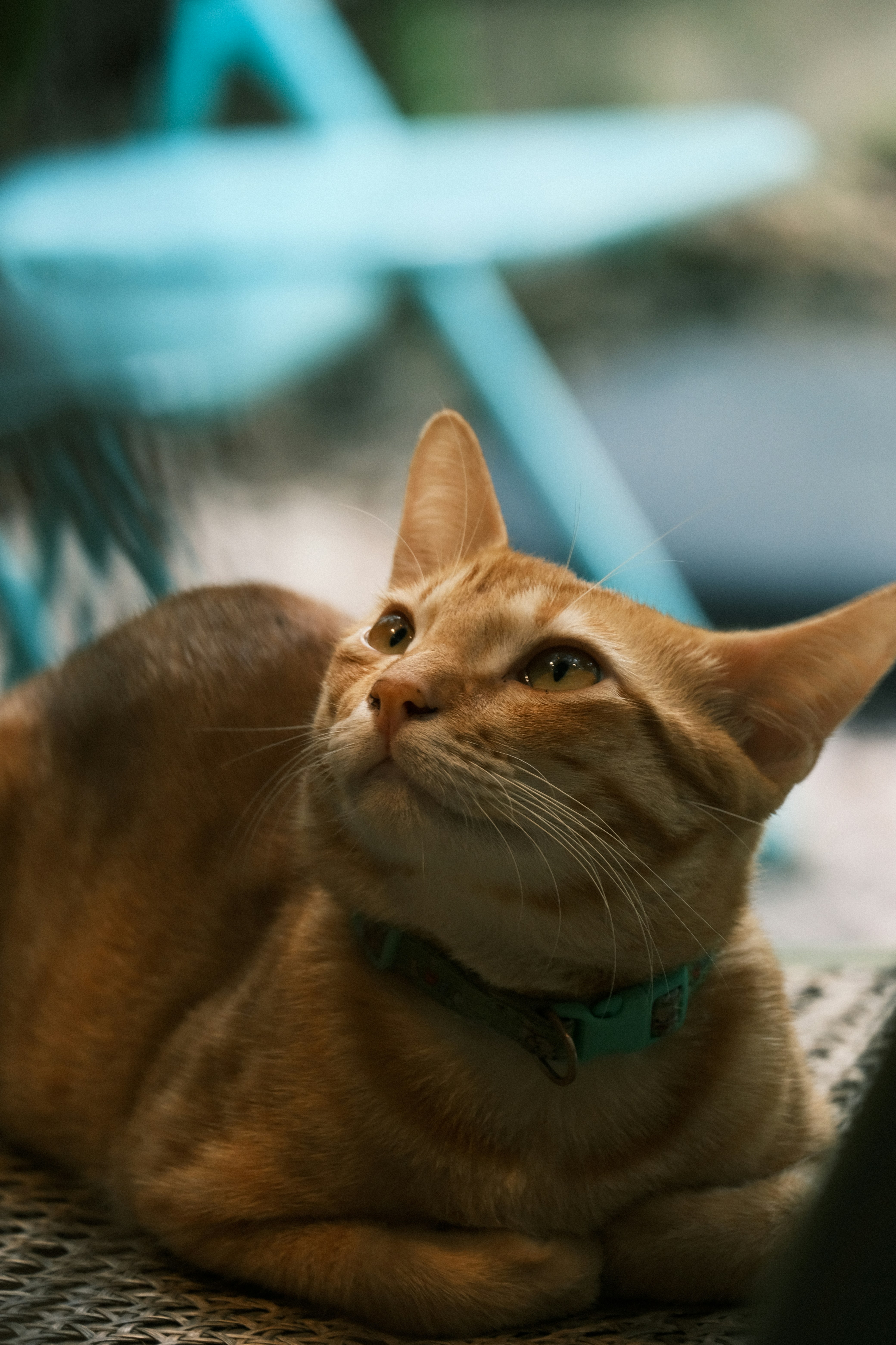 Photo by dvhoang2106