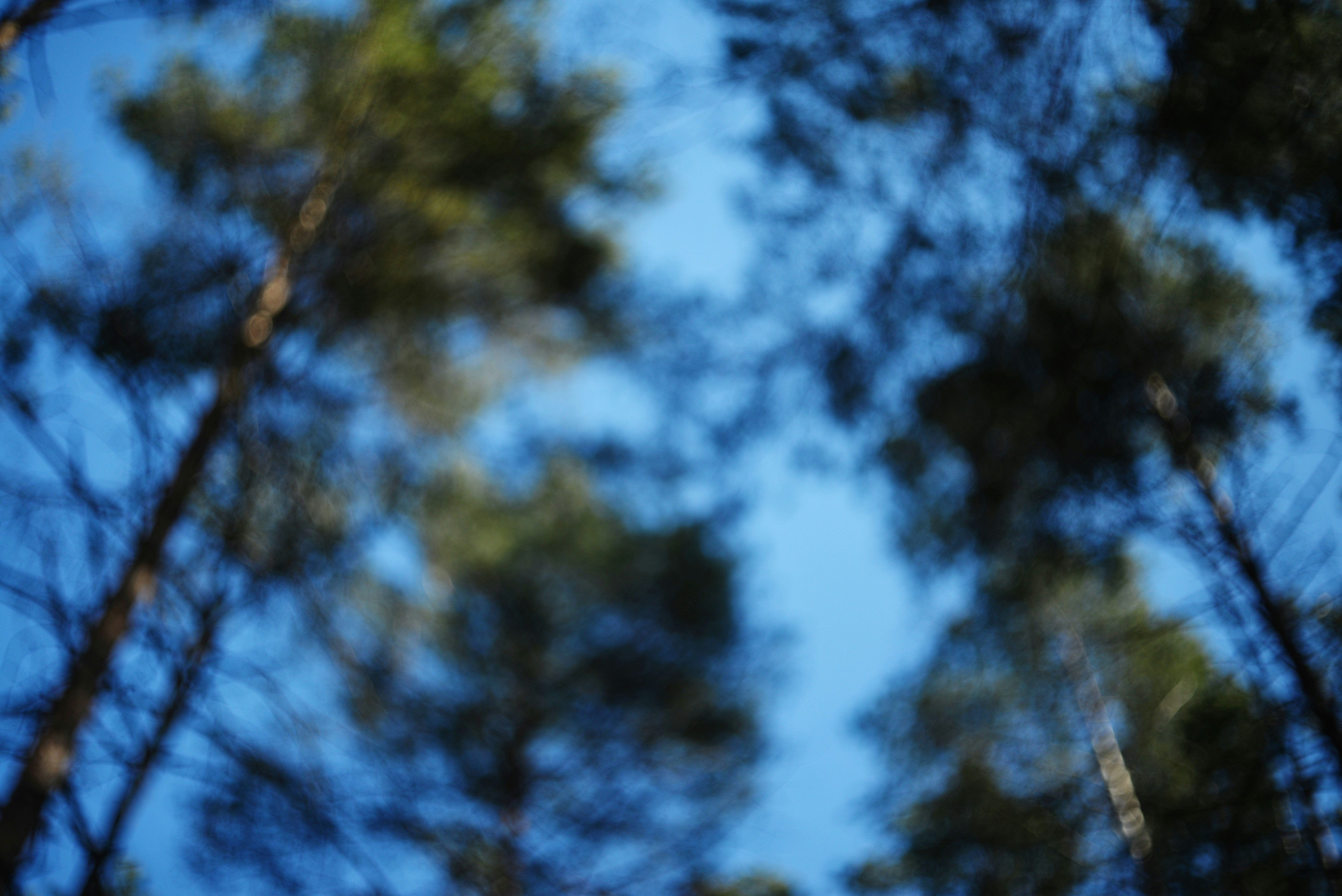 Photo by cherstve_pechivo