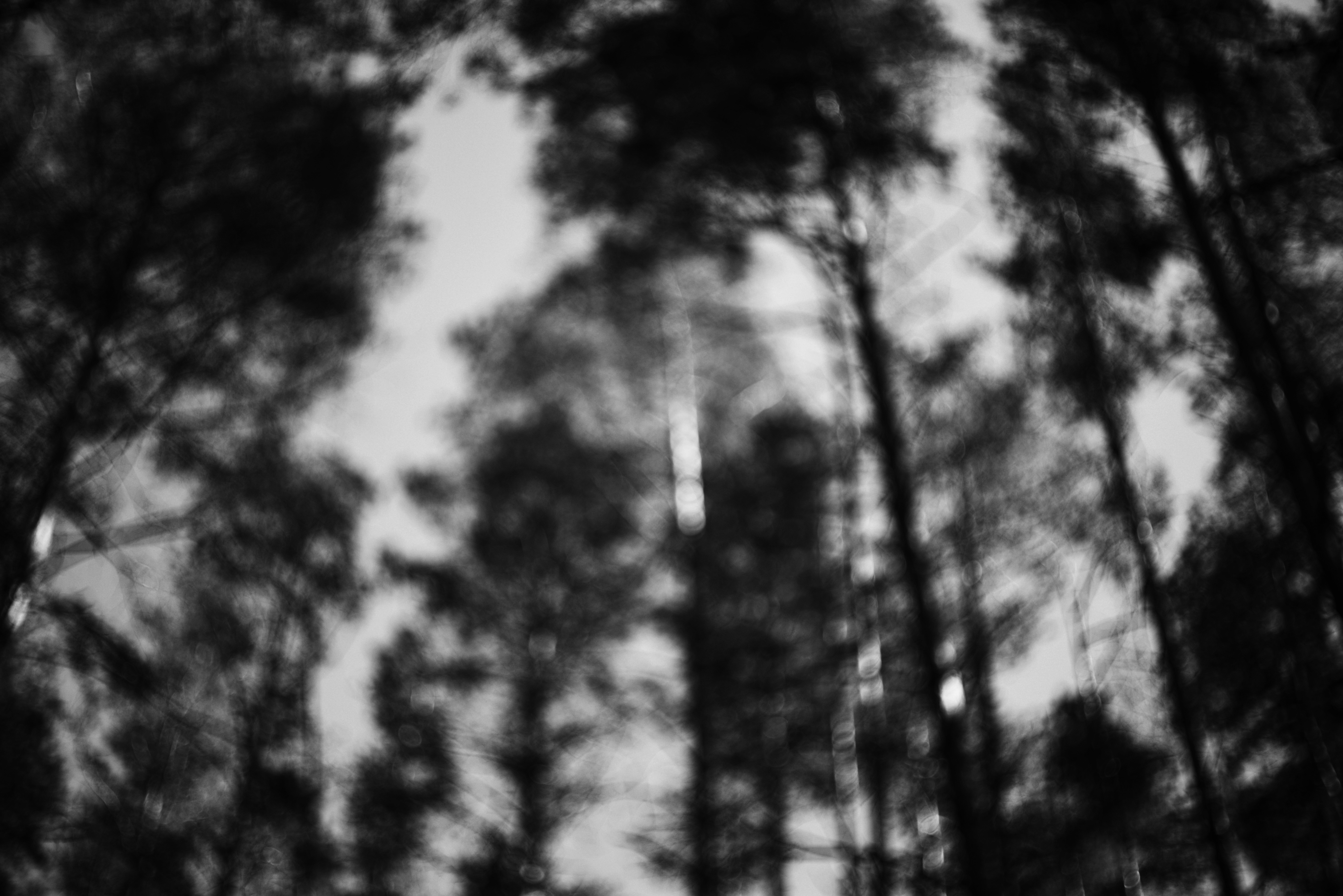 Photo by cherstve_pechivo