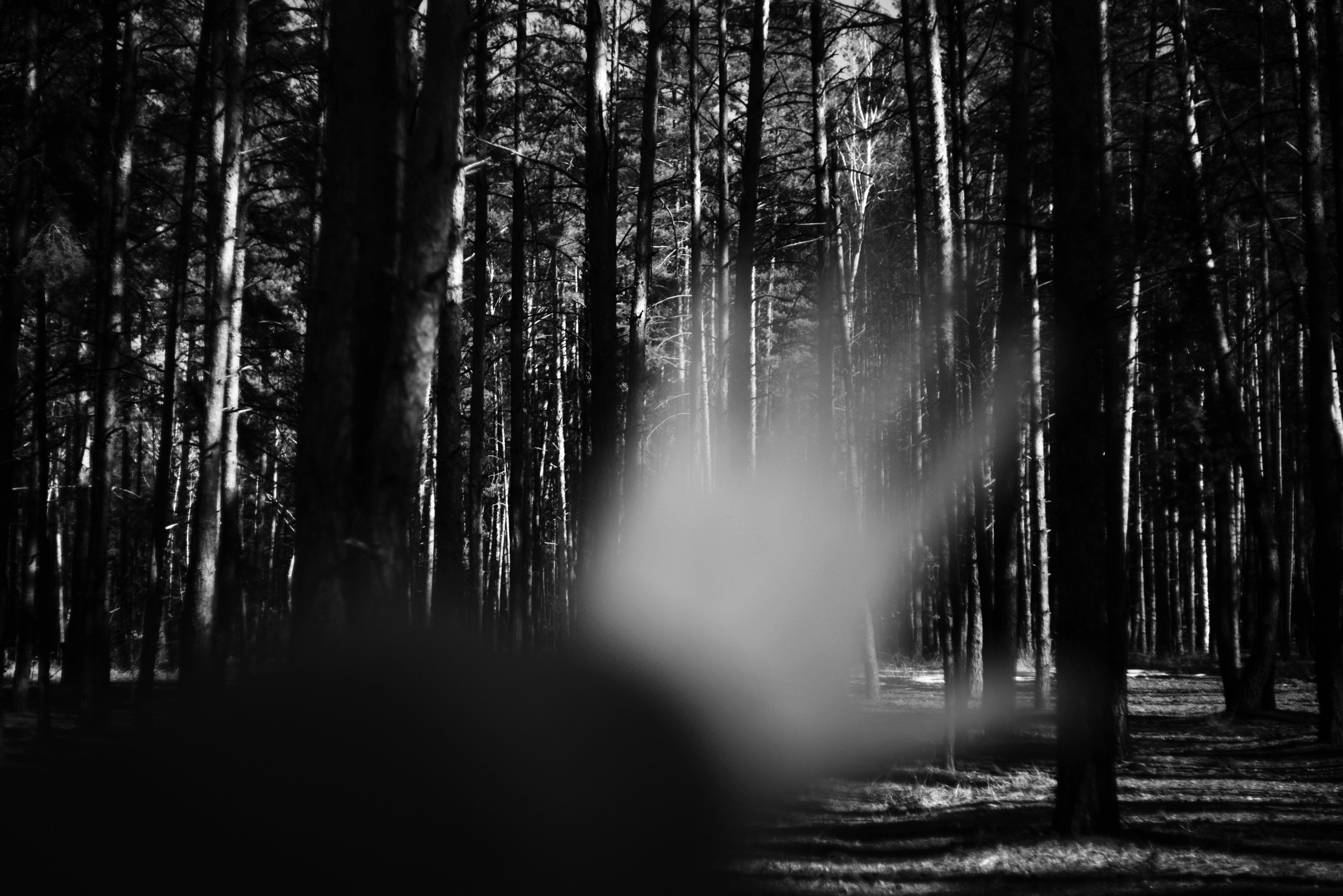 Photo by cherstve_pechivo