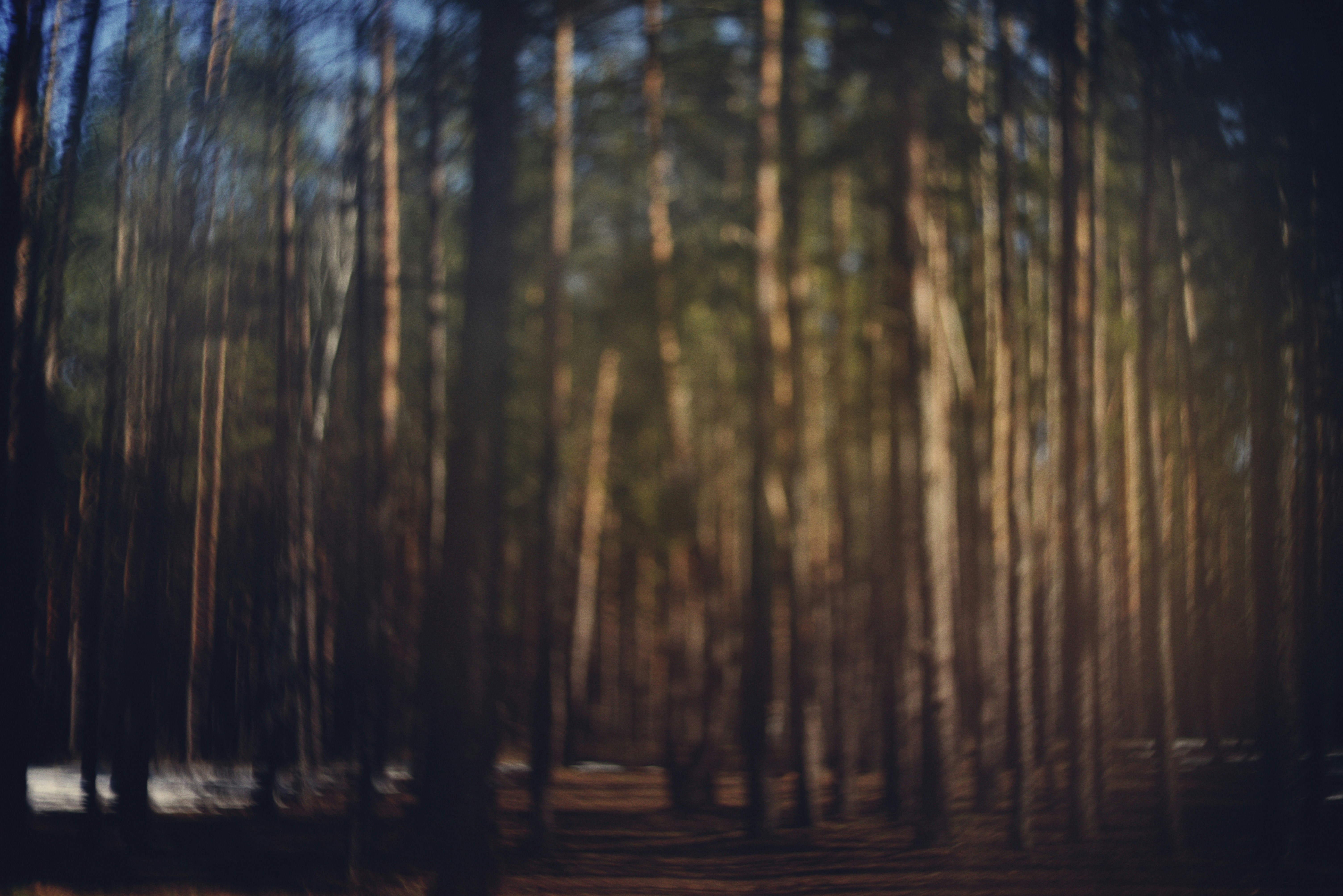 Photo by cherstve_pechivo