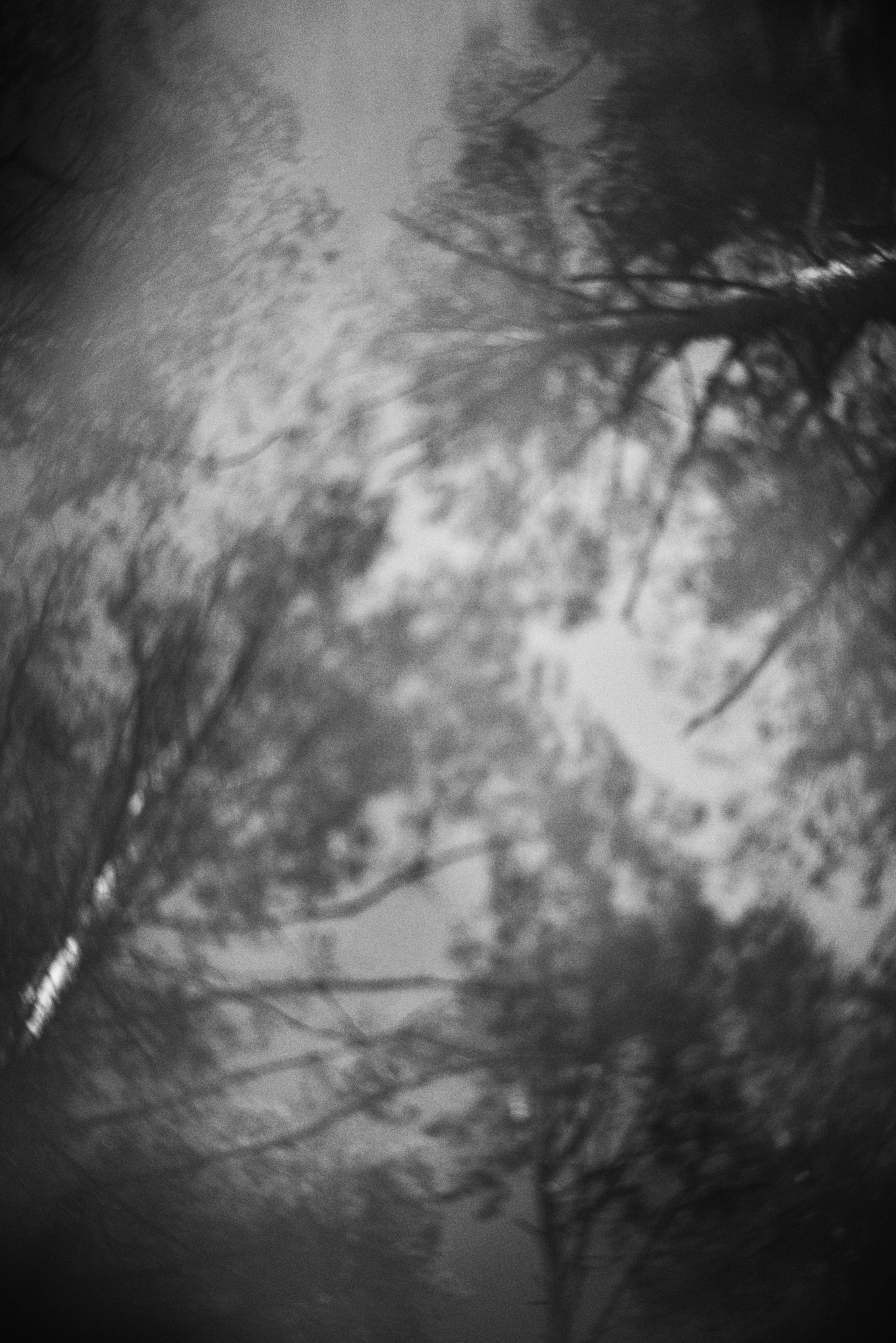 Photo by cherstve_pechivo