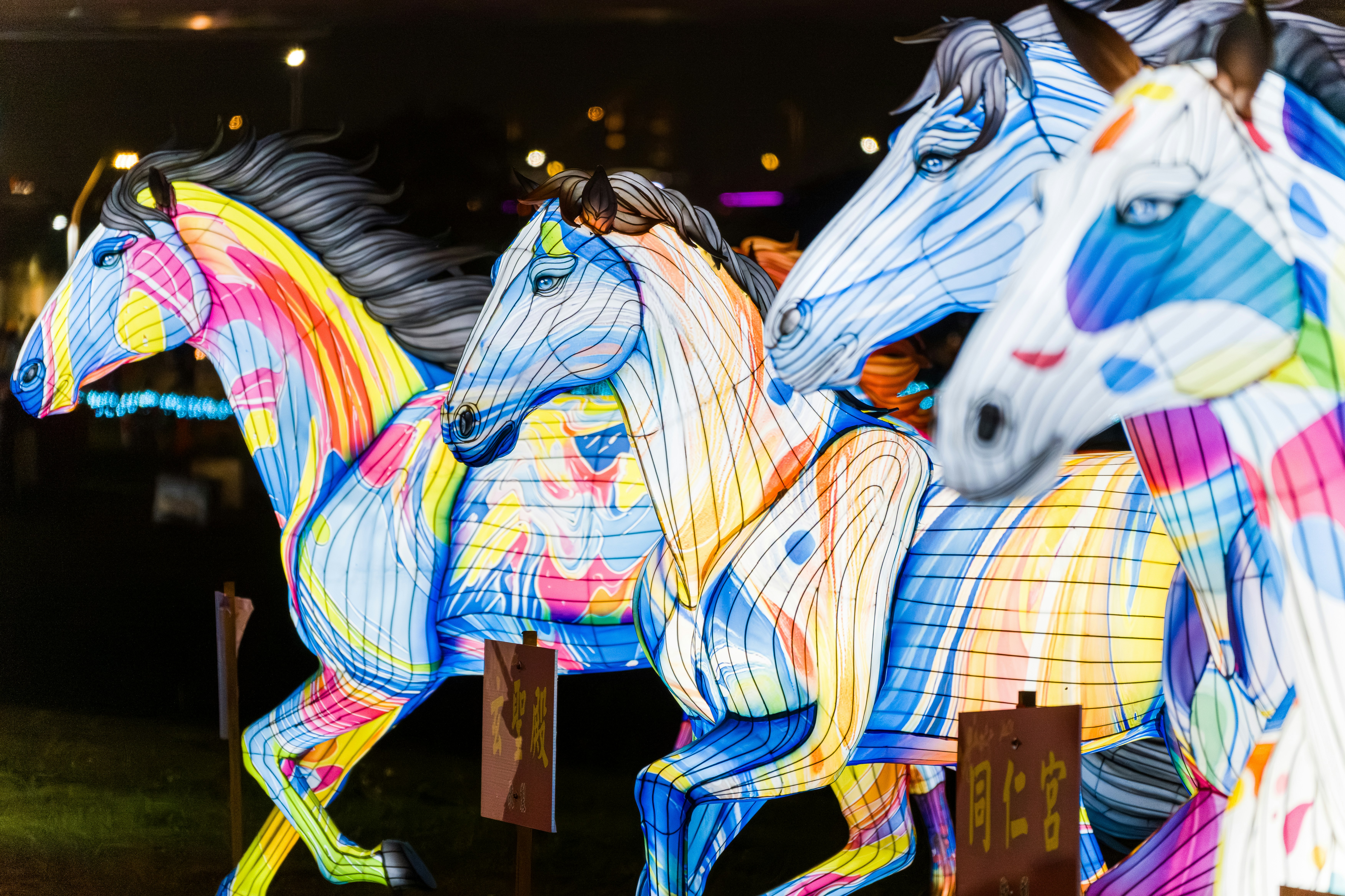 Four colorful illuminated horse sculptures at night.
