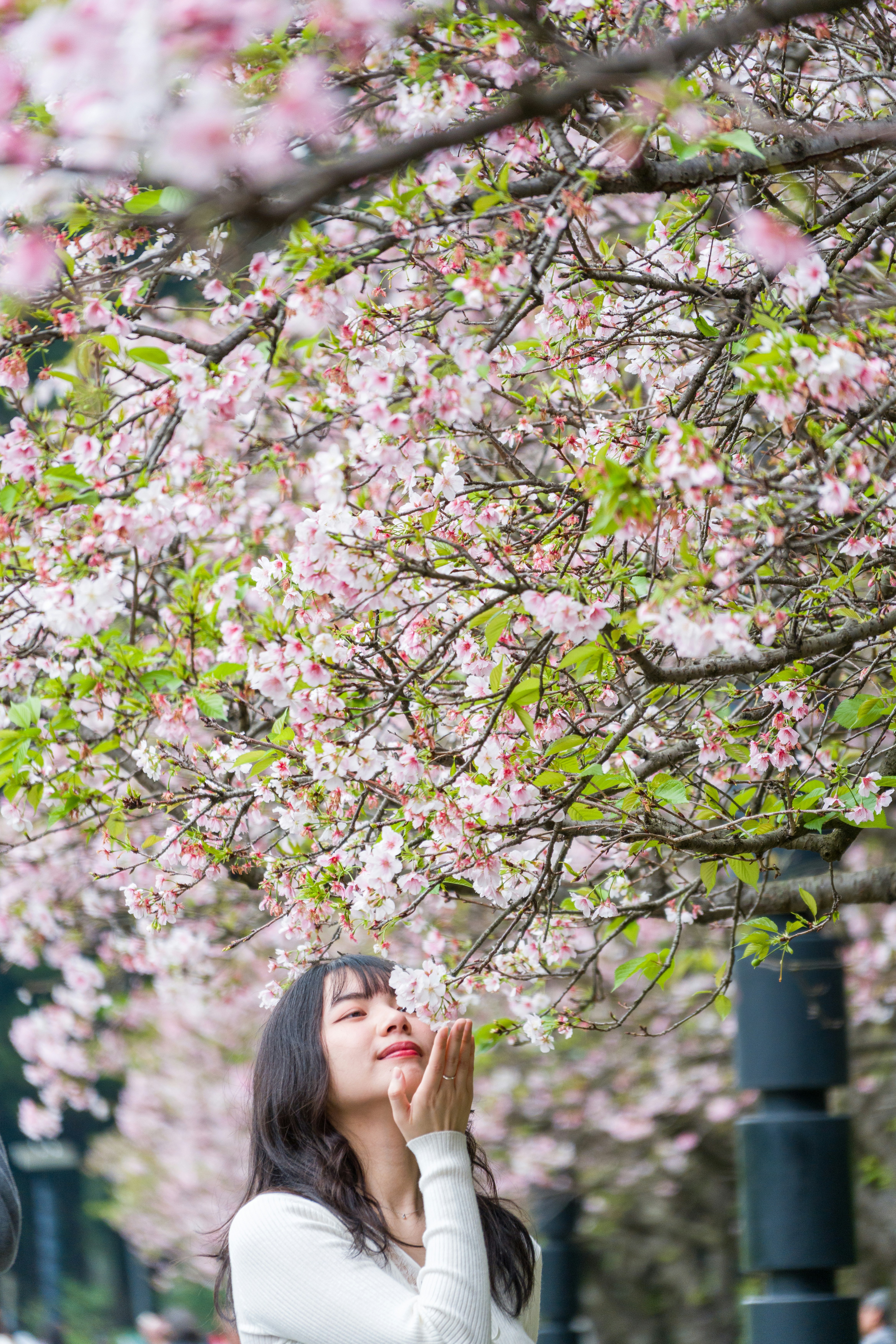 Photo by winstonchen