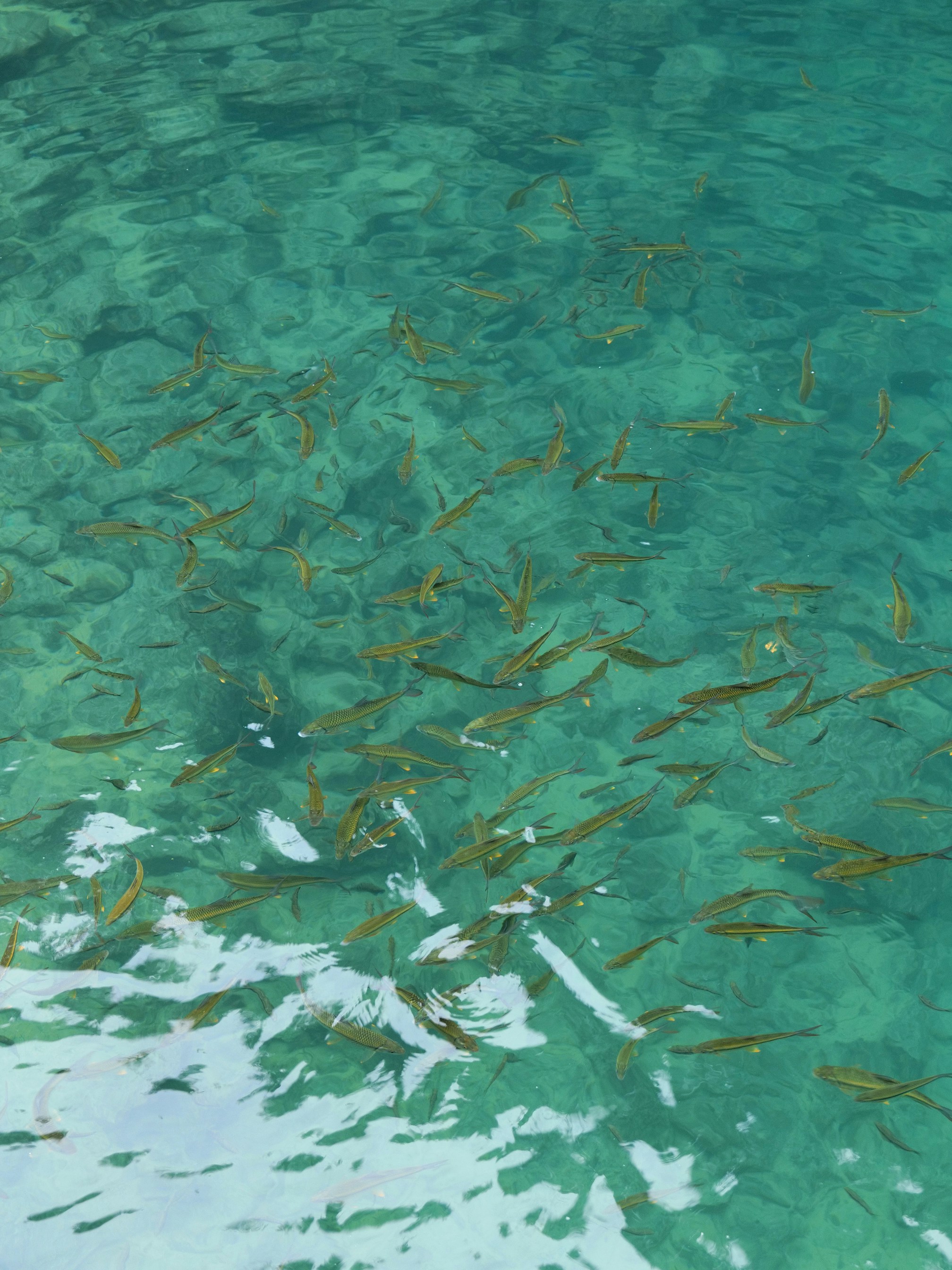 Photo by blingblingqueen