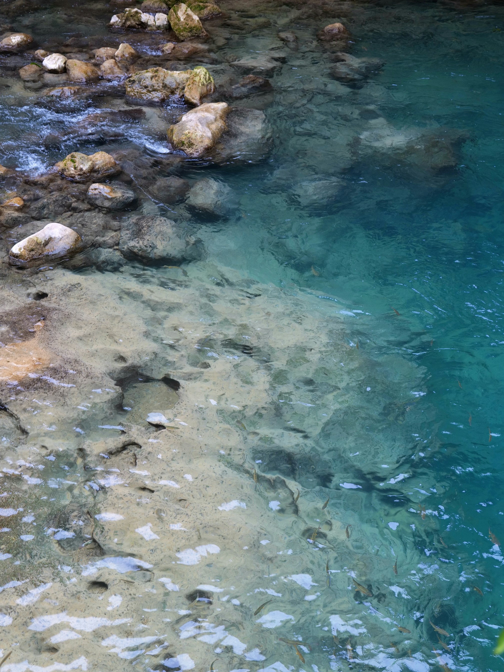 Photo by blingblingqueen