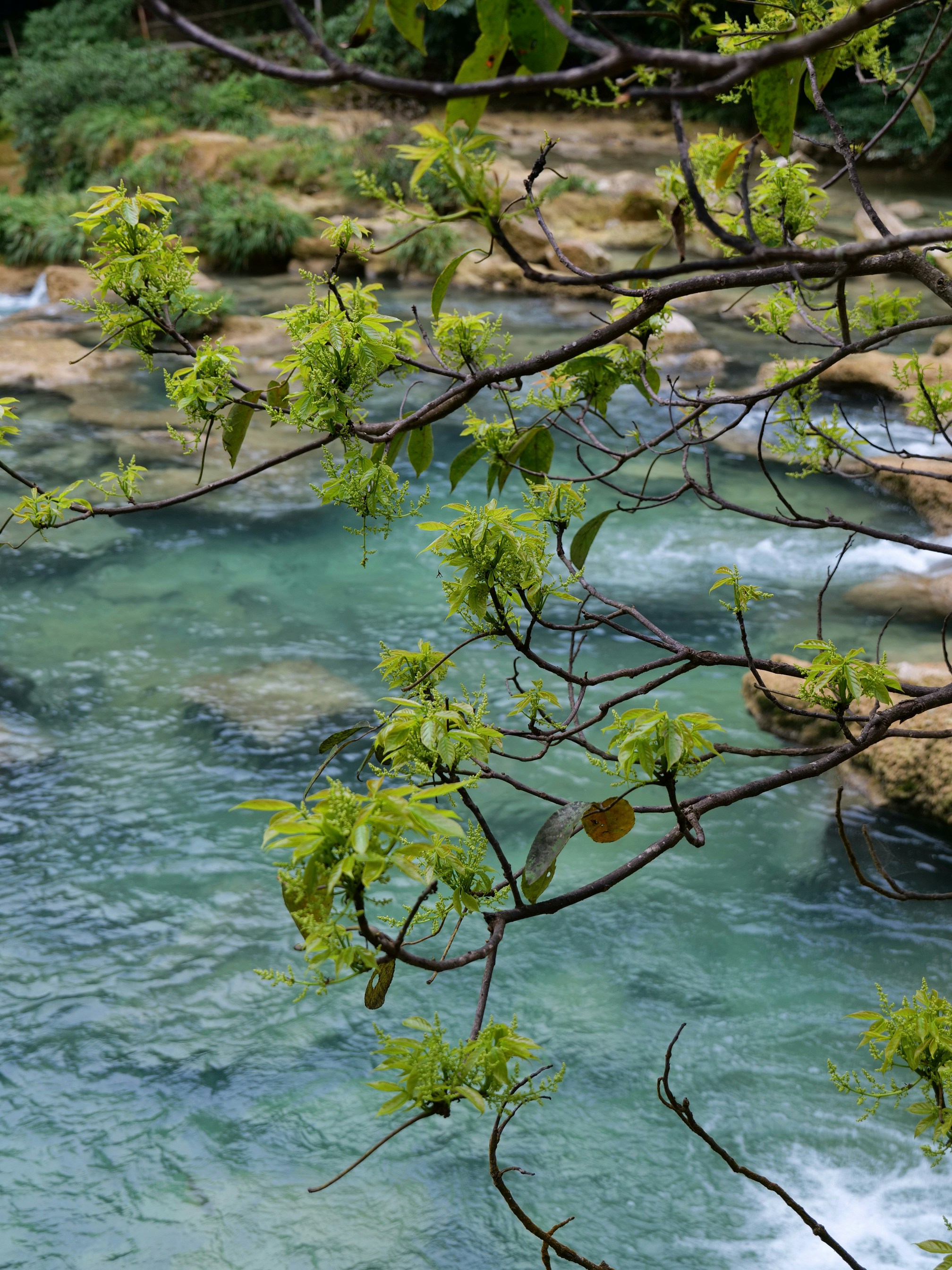 Photo by blingblingqueen