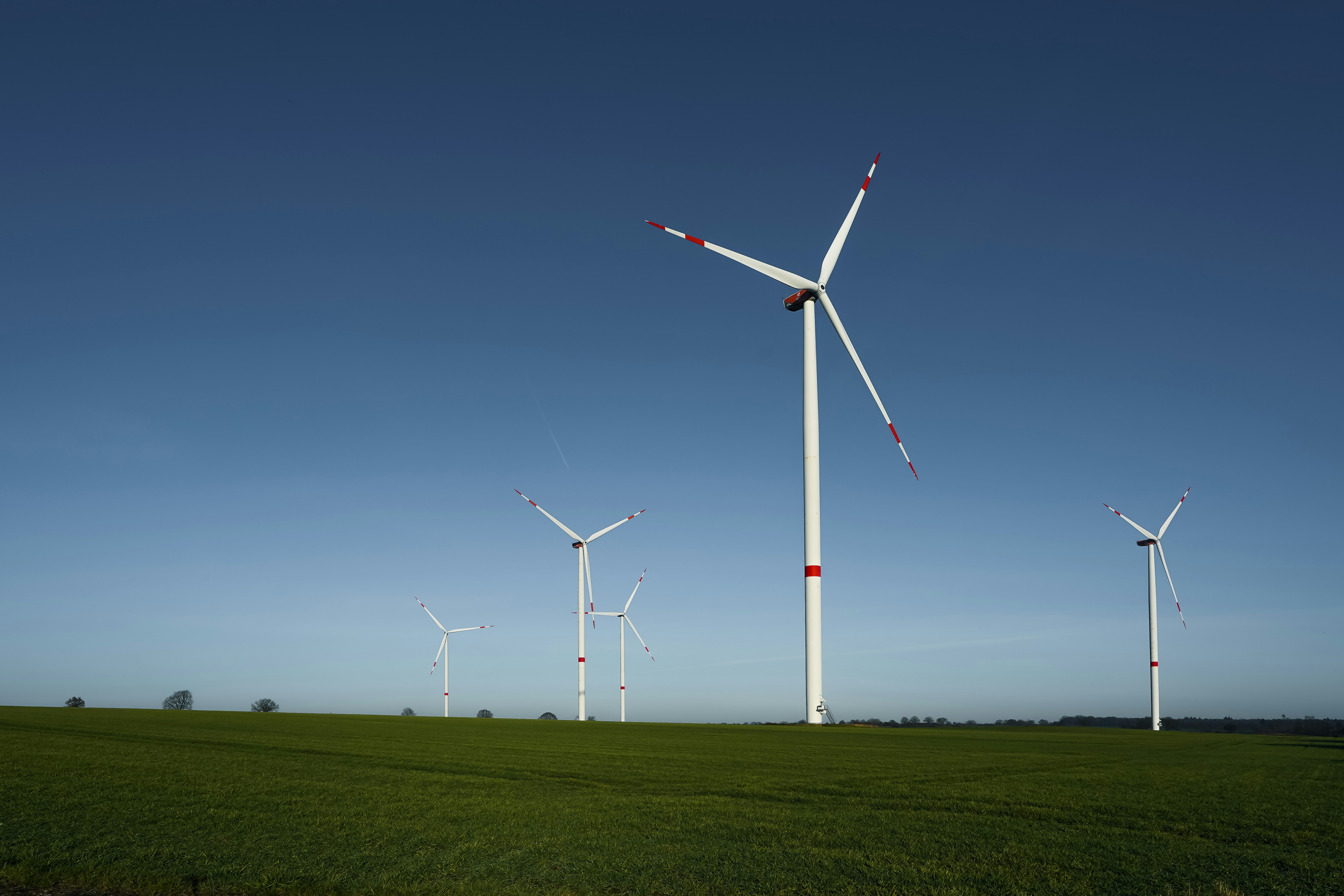 Photo by hamburgmeinefreundin