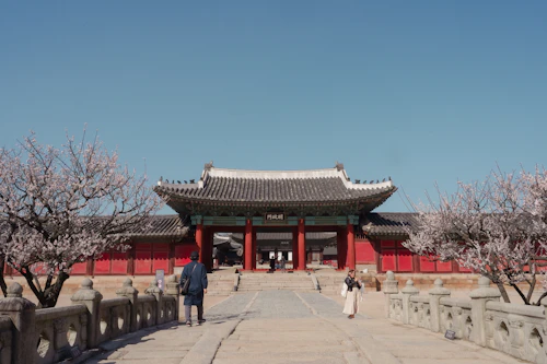 Palace gate framed by blooming cherry trees