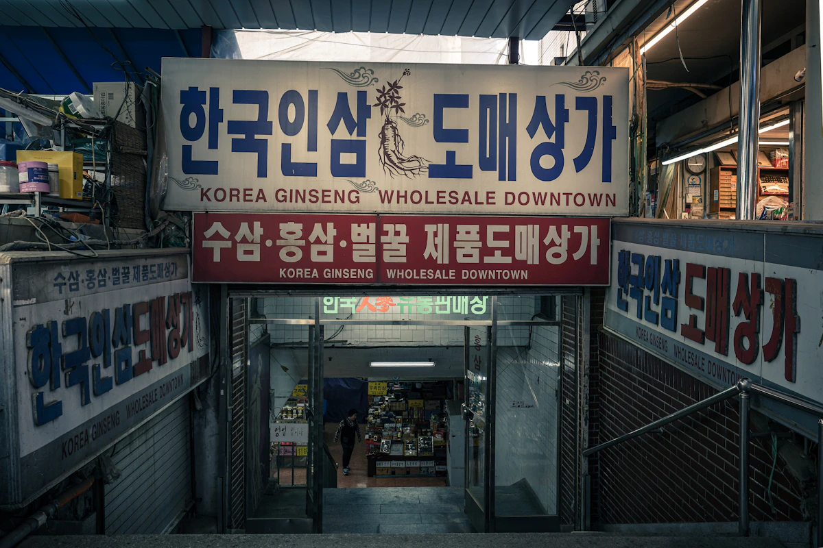 한국 인삼 도매 시장의 홍삼 뿌리 진열 모습