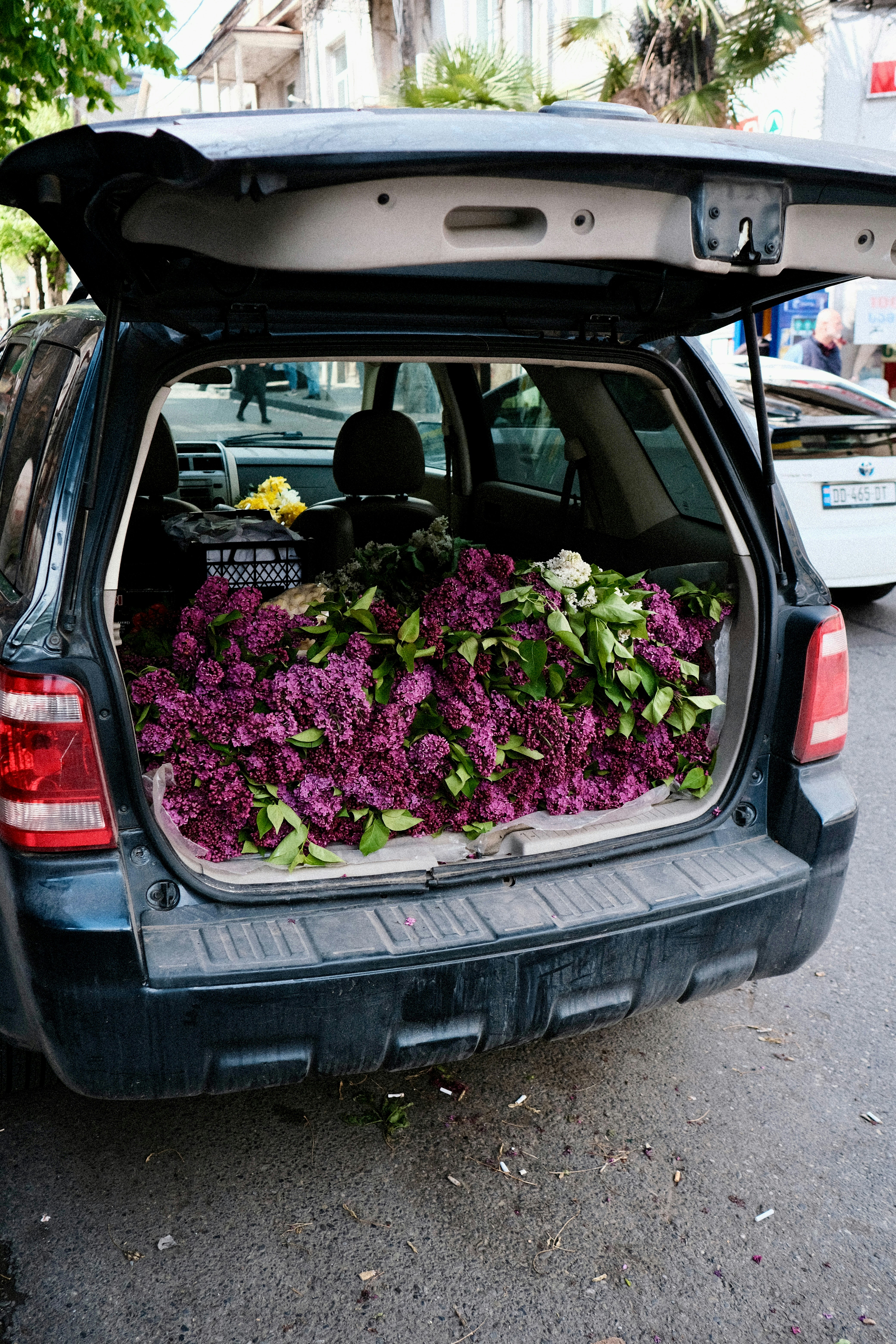 Car trunk filled with abundant purple lilacs.