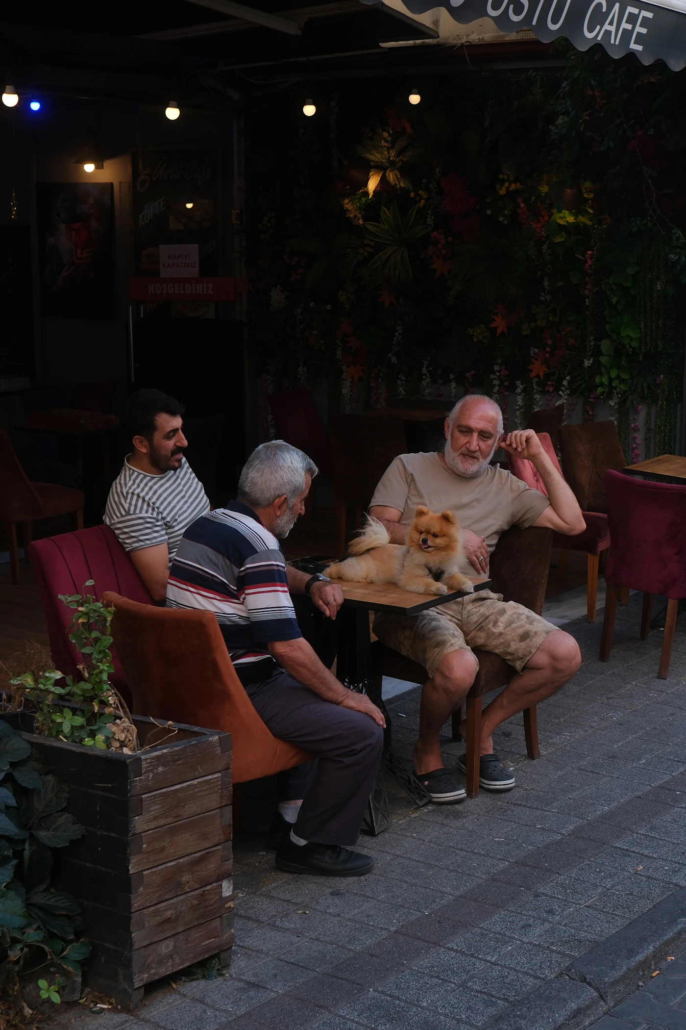 Friends sharing an outdoor café table with their dog