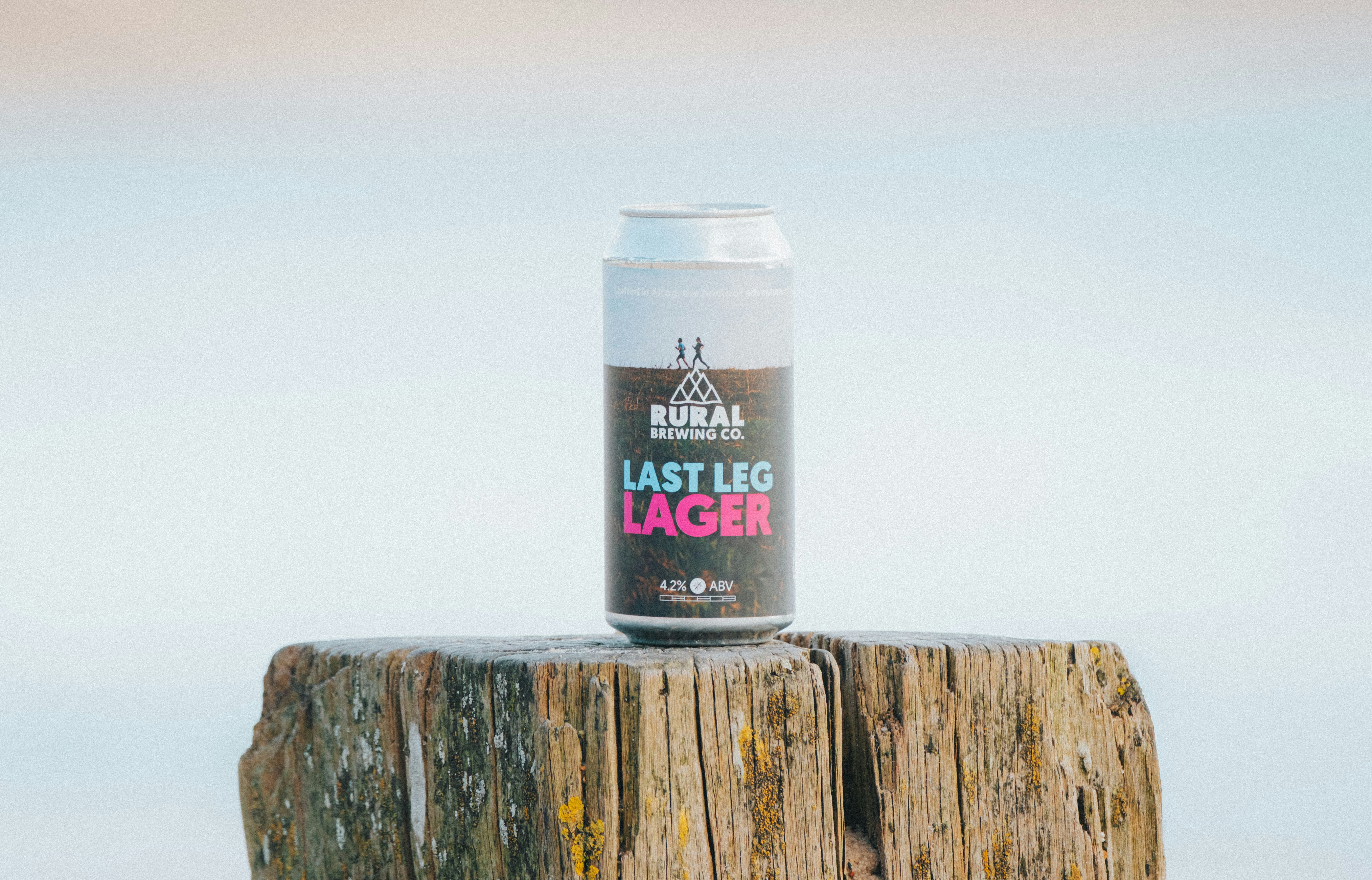 L'IA : vers un backlash dans l'entreprise ?