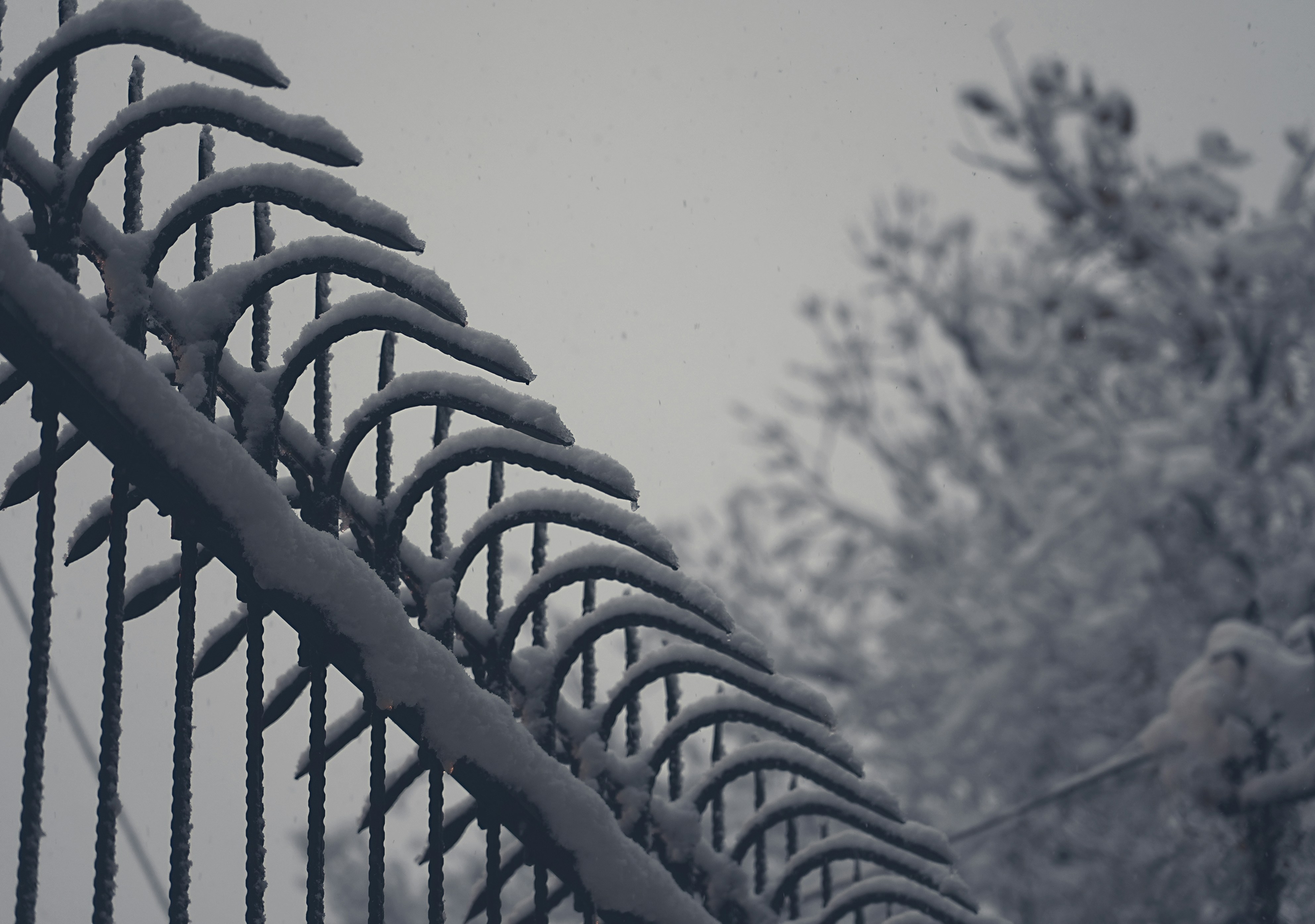 Photo by Amir Kasravi on unsplash
