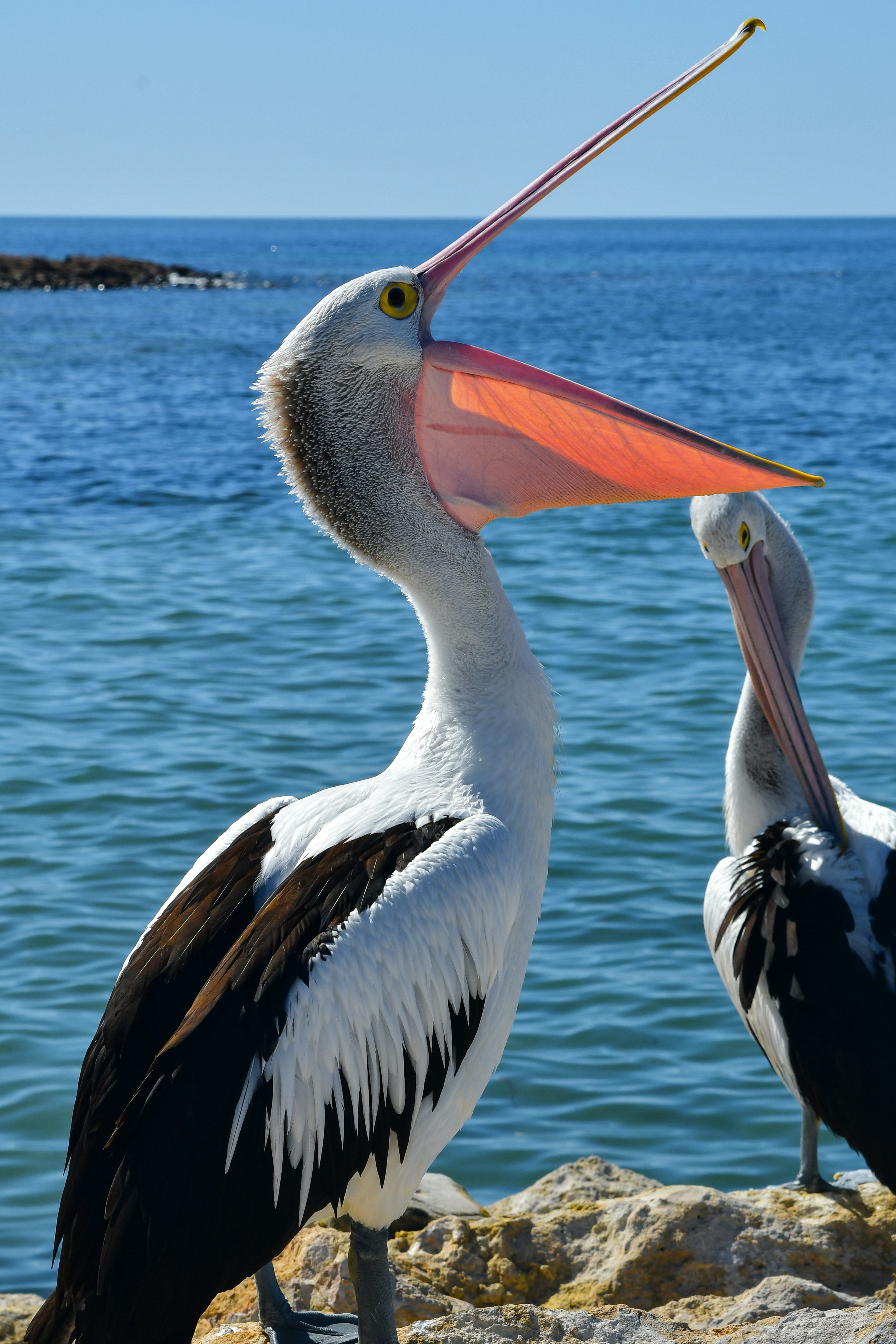 Photo by armandmckenzie