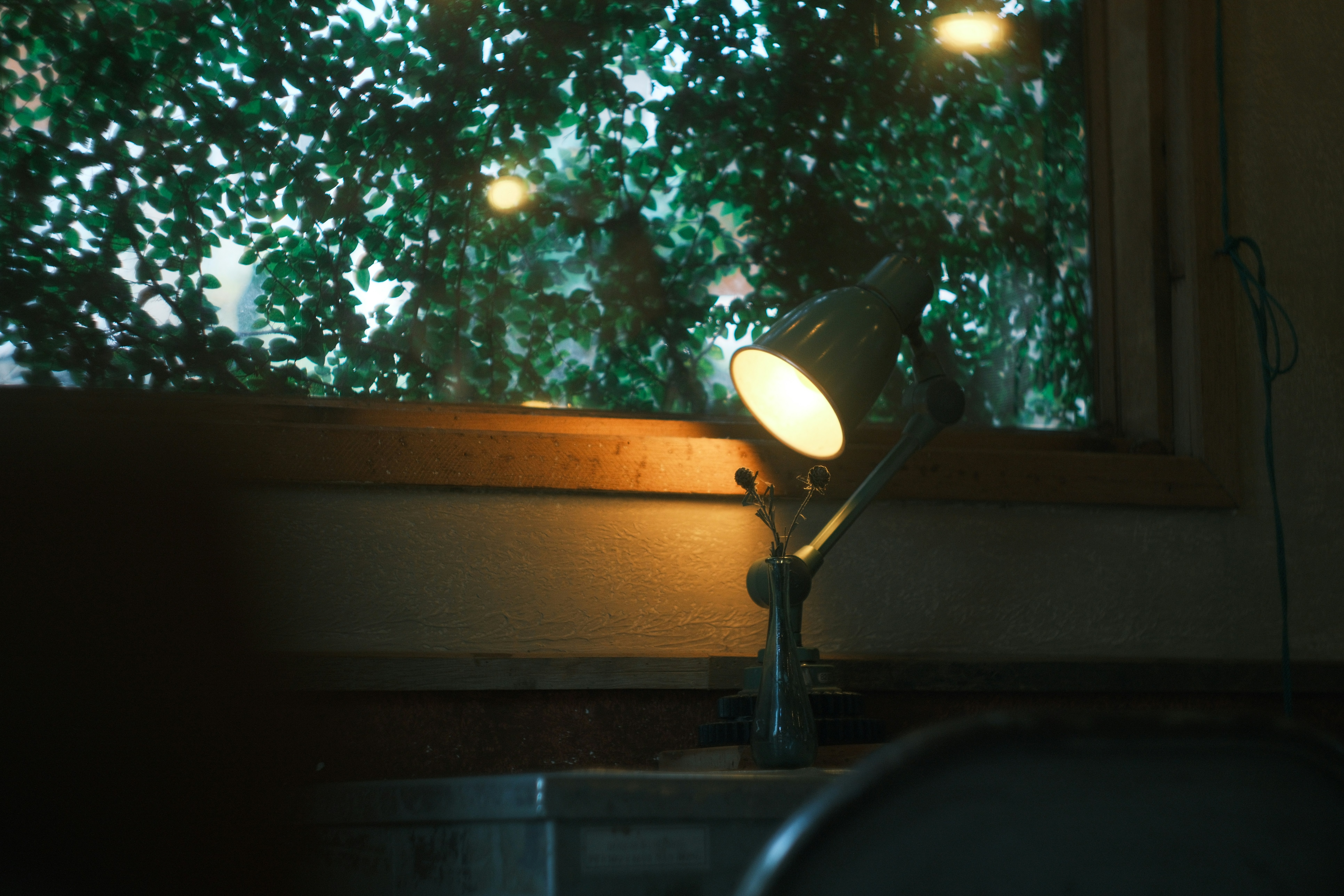 Photo by phuocsangvn