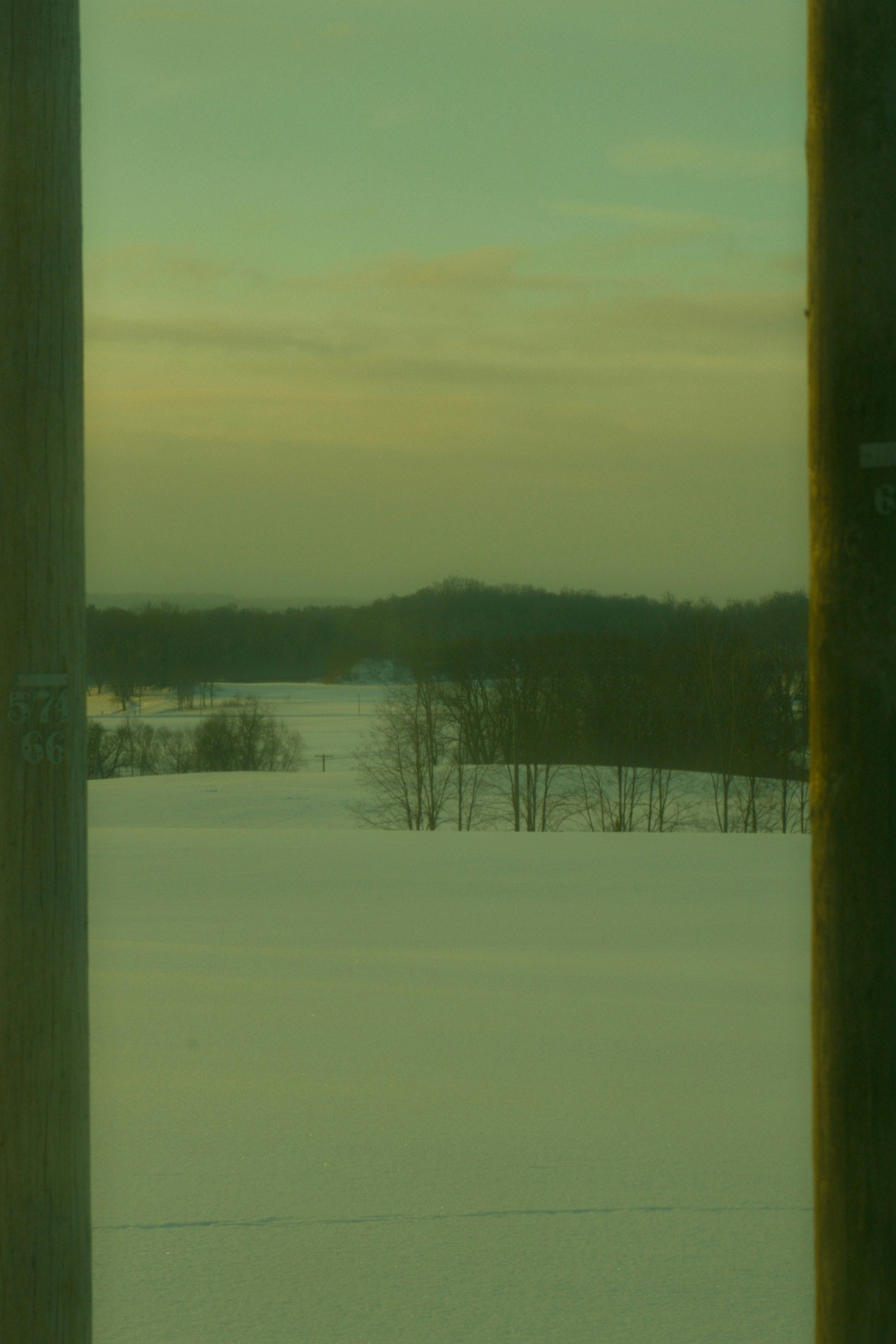 Snowy landscape with trees and hills under a hazy sky.