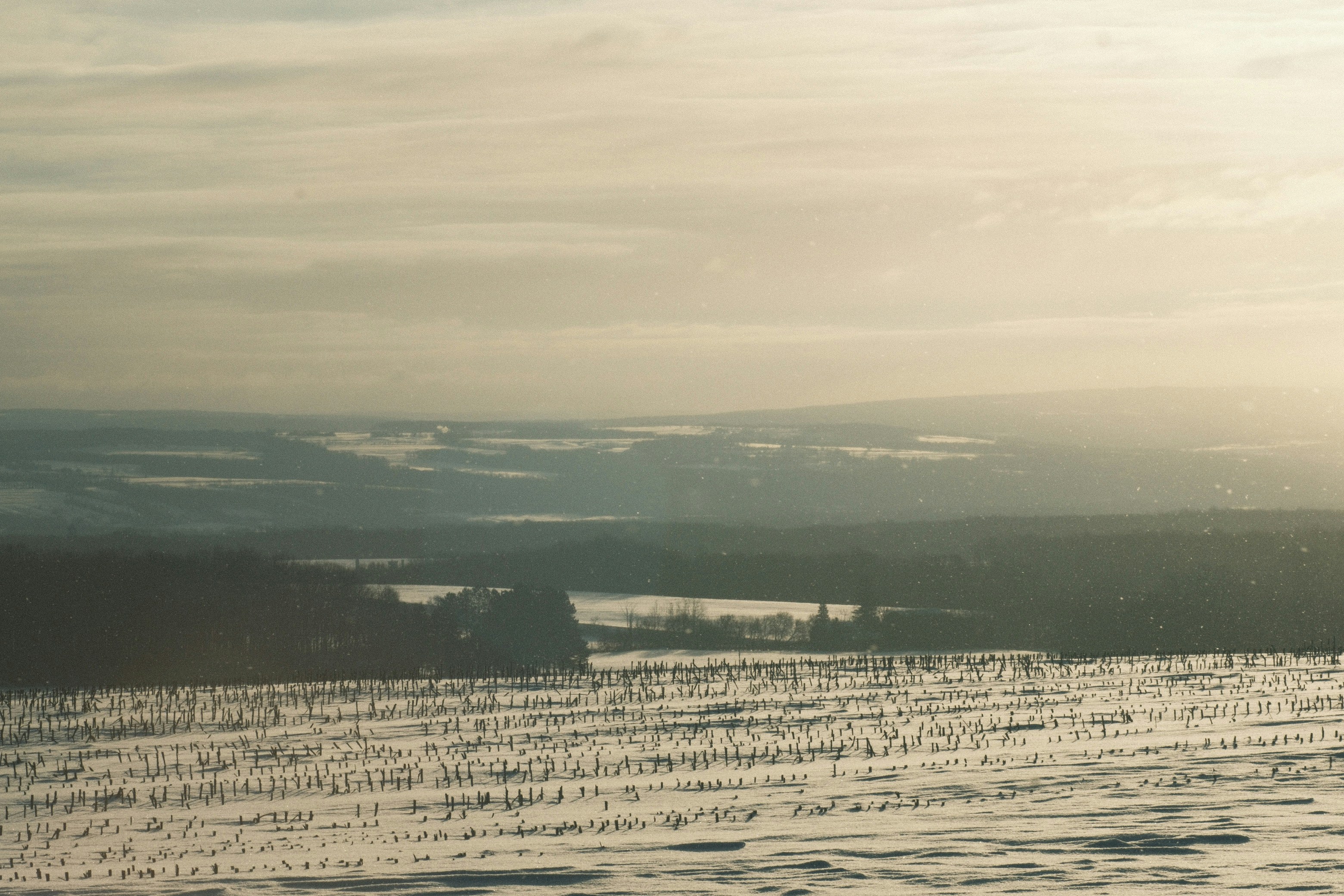 Winter landscape with snow-covered fields and distant hills.