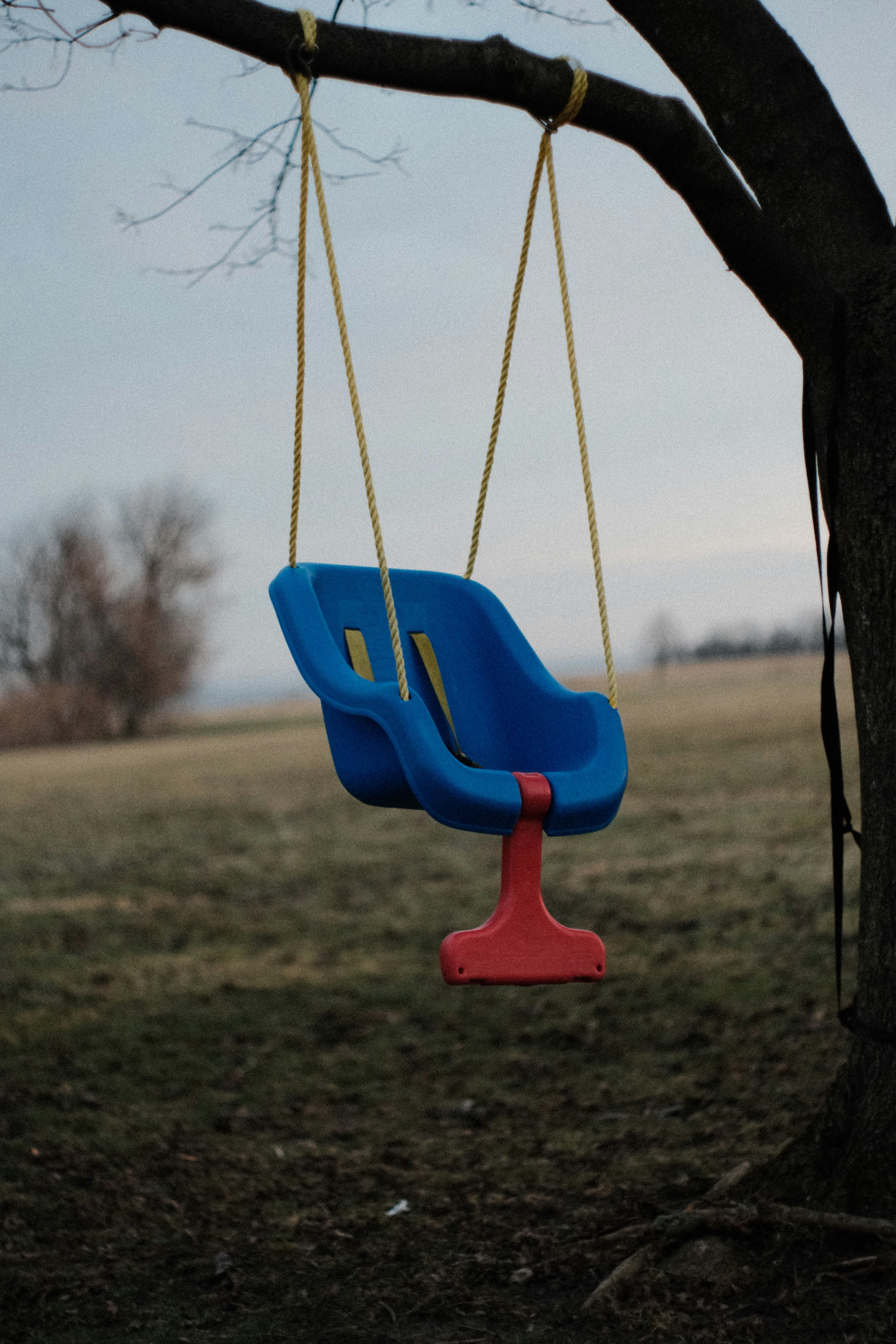 A blue baby swing hangs from a tree branch.