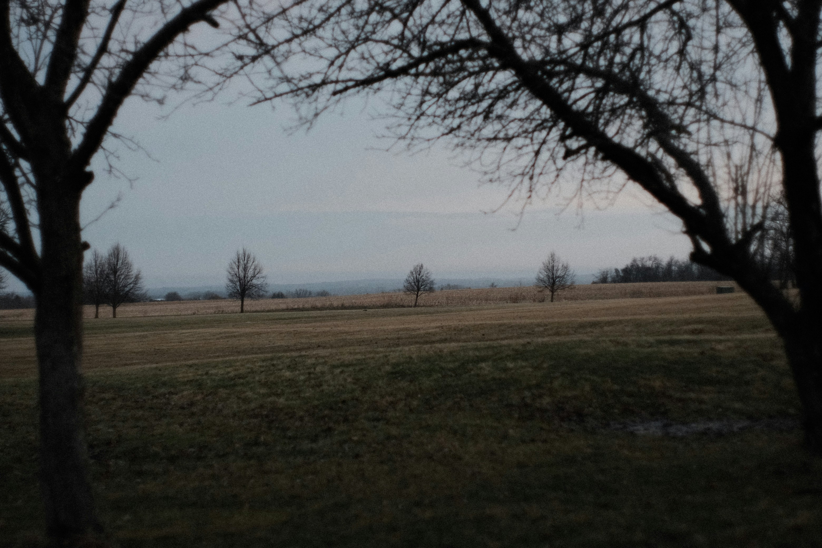 Photo by jhudsongraves