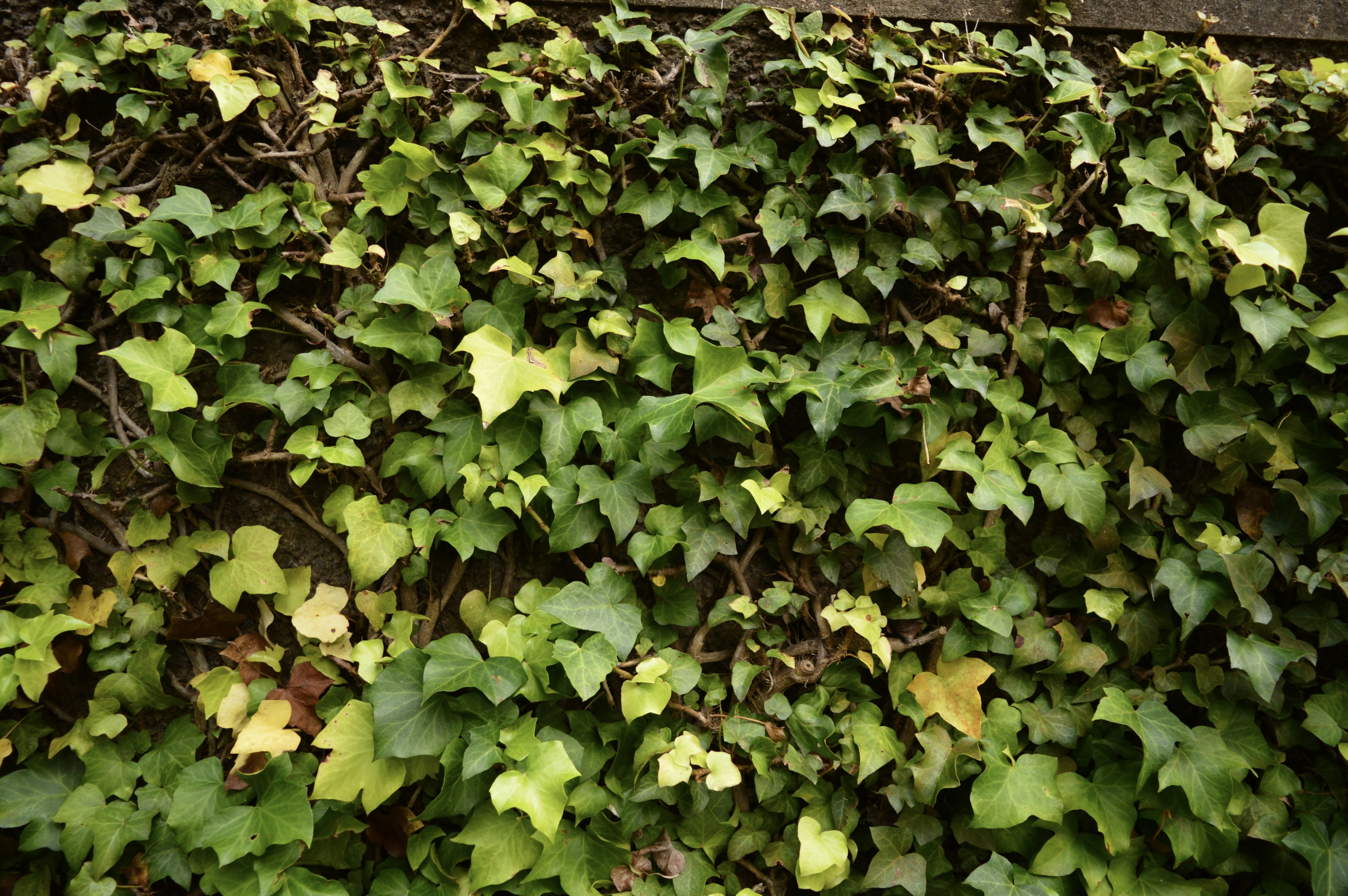 Photo by natali00198