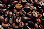 Close-up of dark roasted coffee beans