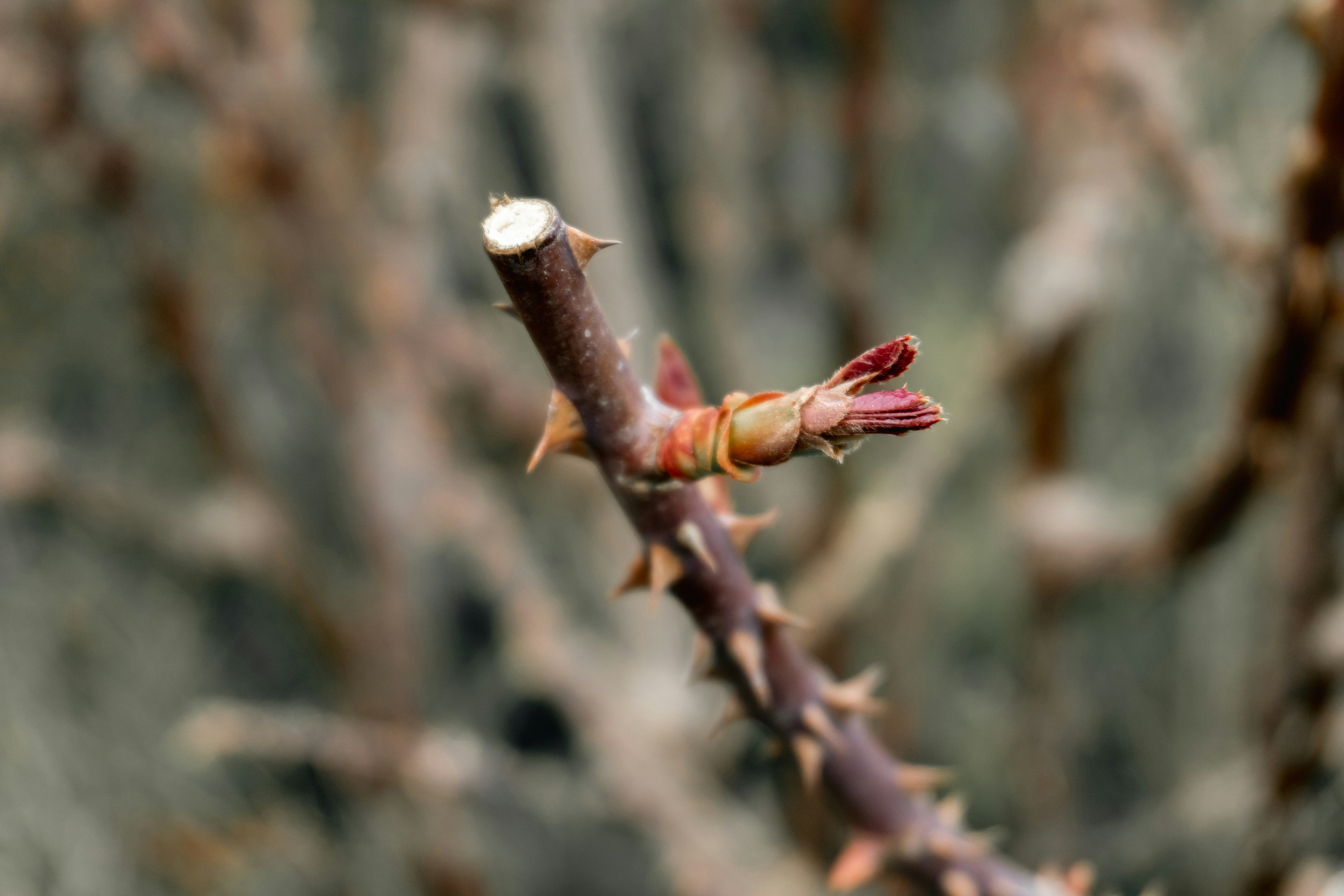 Photo by zulfugarkarimov