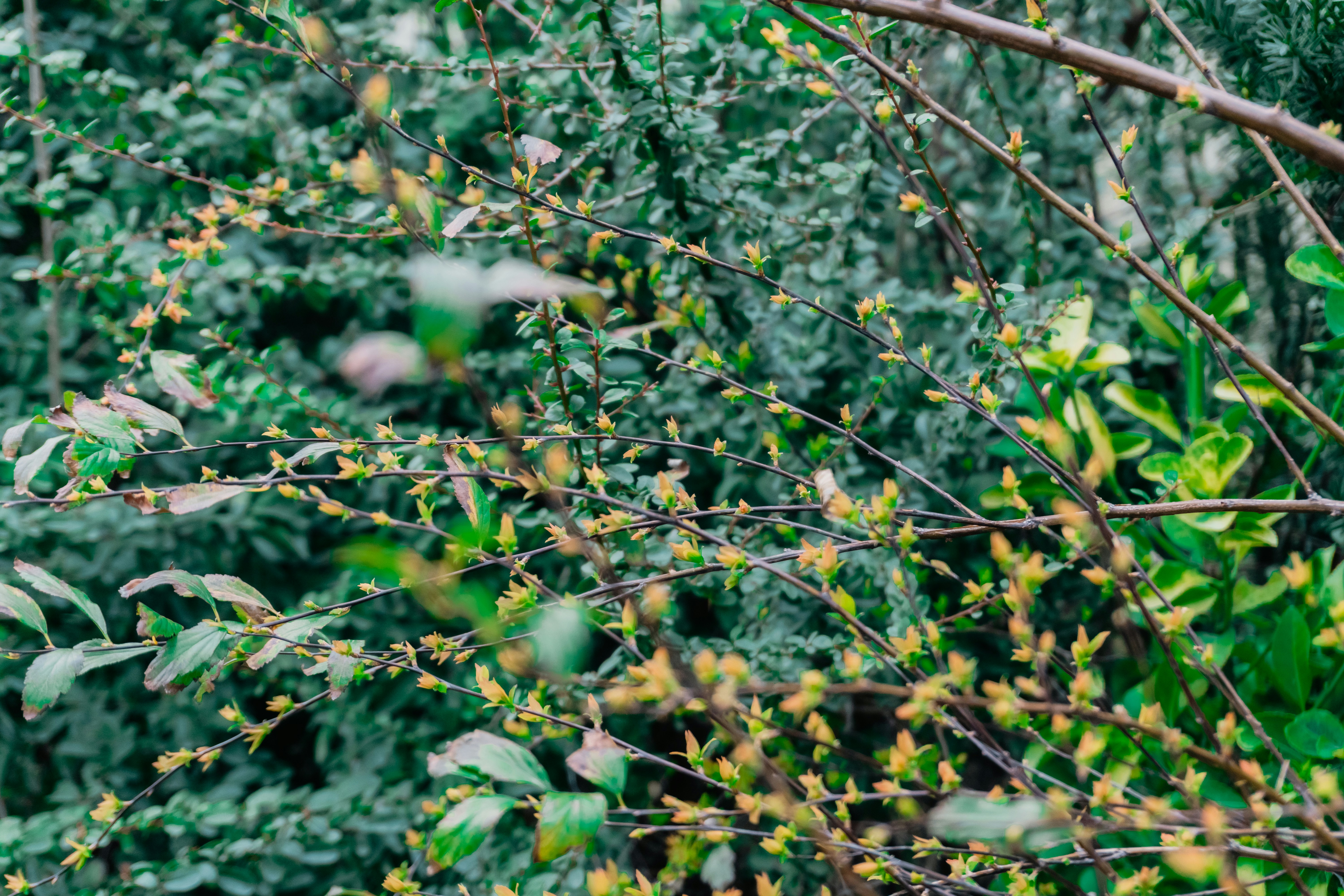 Photo by zulfugarkarimov