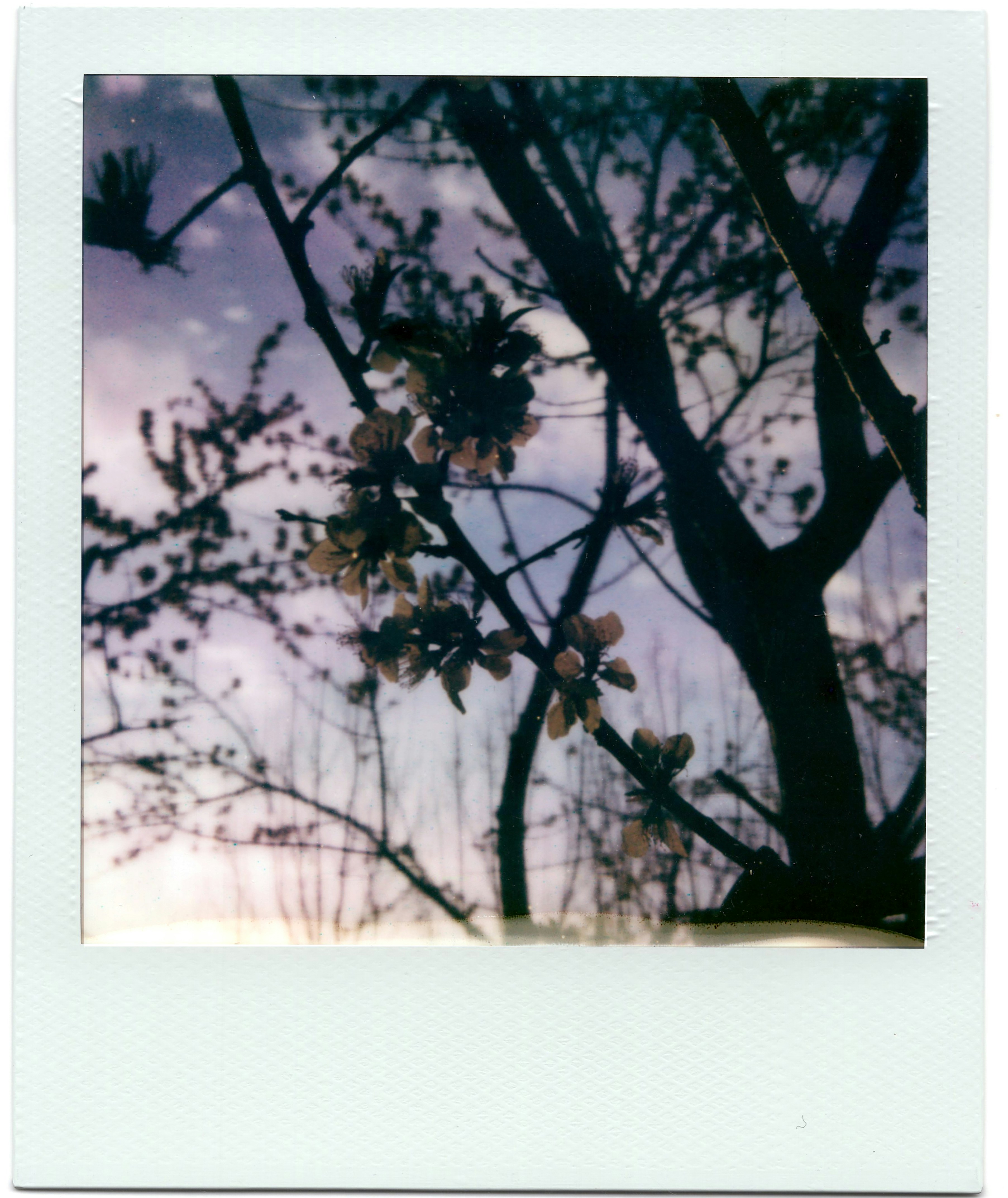 Photo by greedwolf97