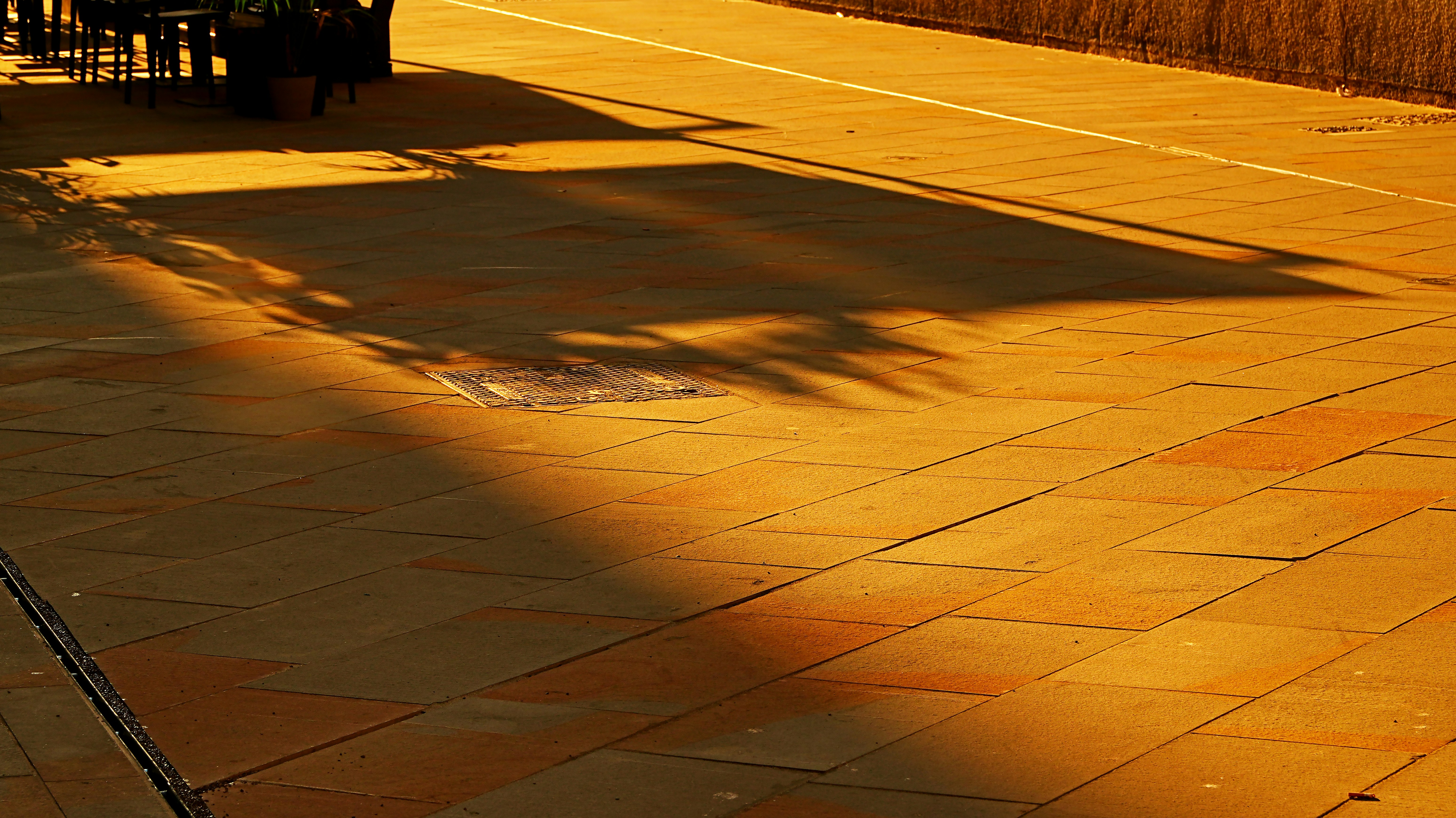 Site Preparation & Grading