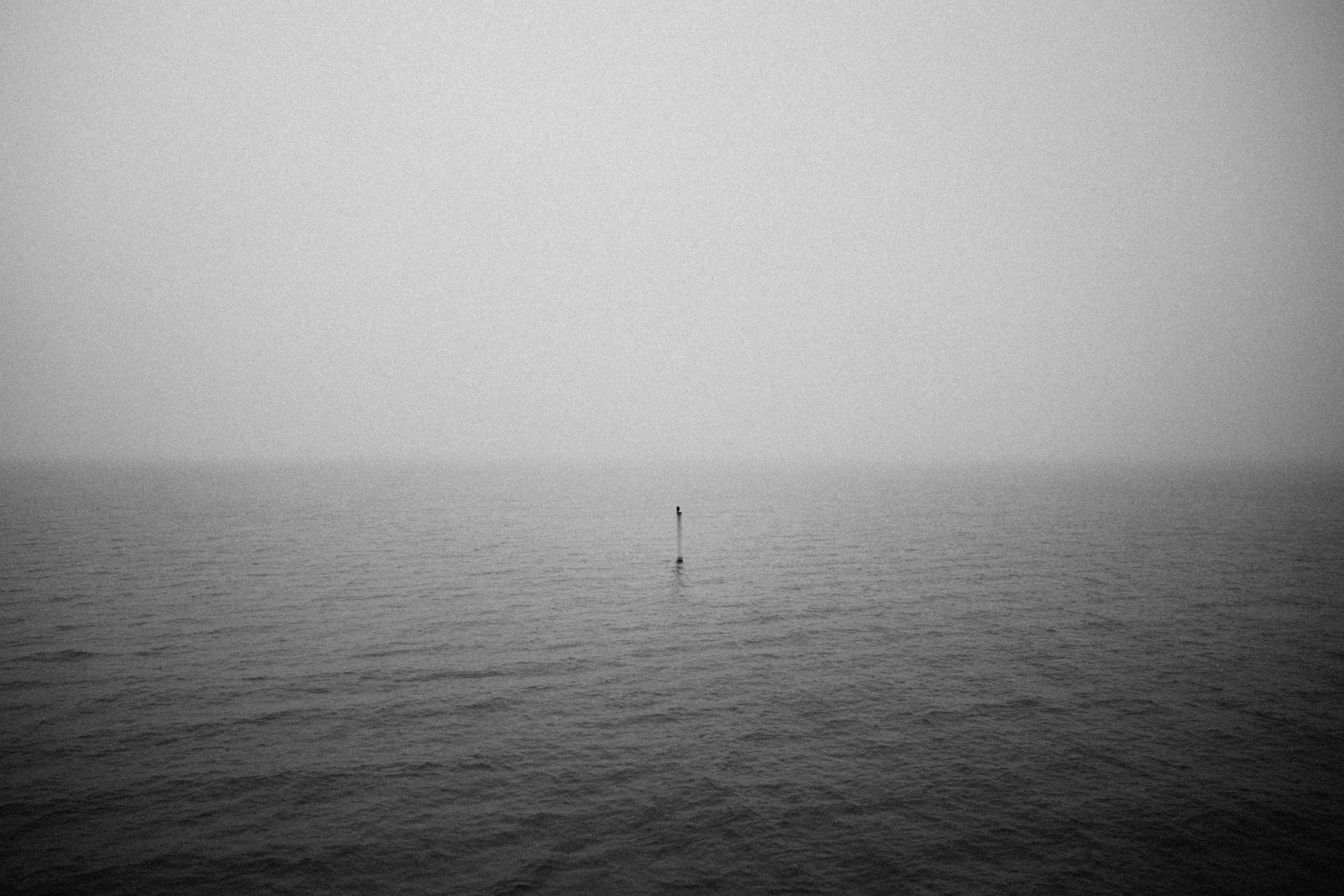 Photo by andrei_restrepo