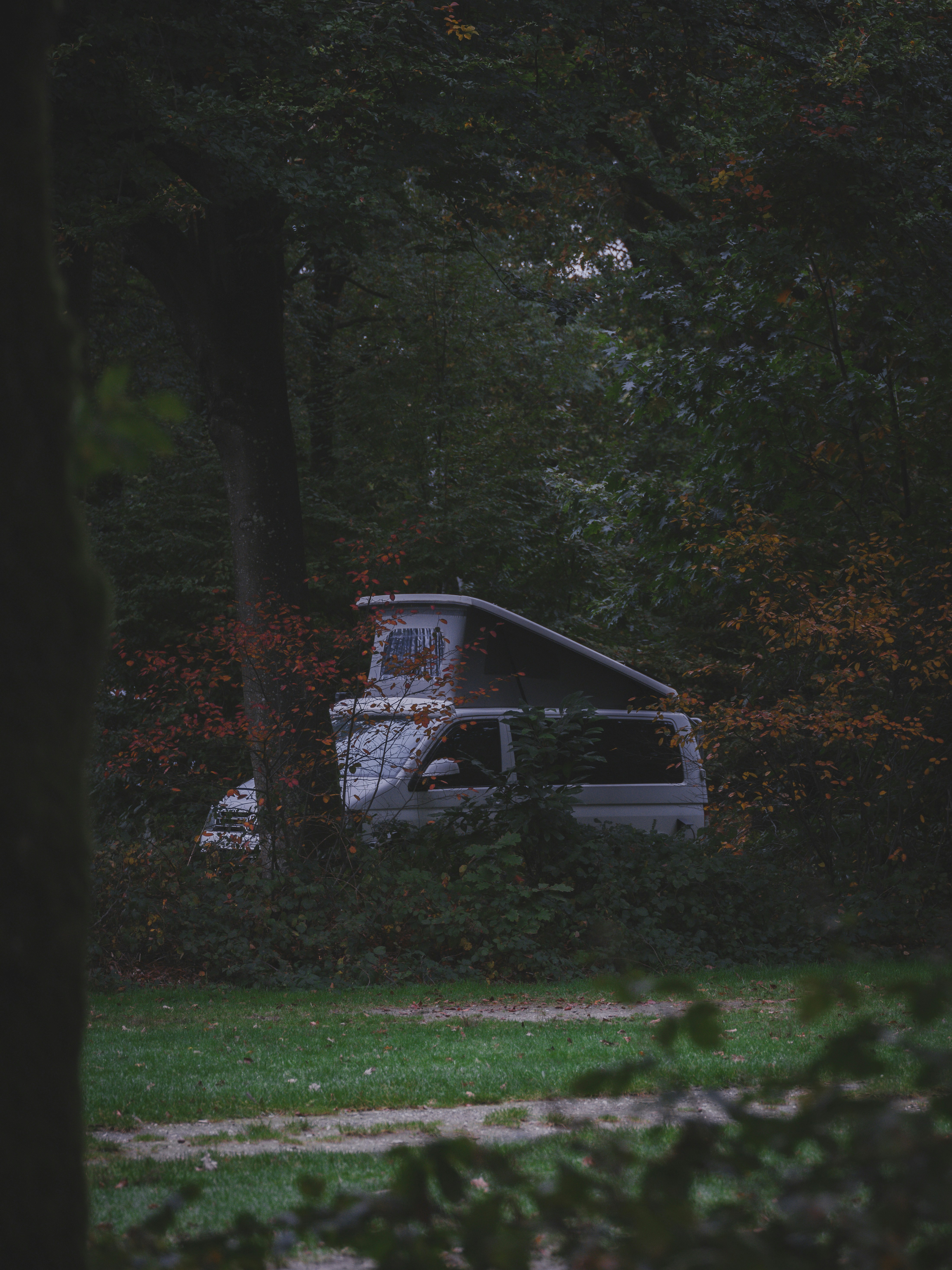serene forest camping wallpaper, wallpaper, Find Quiet Campgrounds During the Busy Season: Top Strategies 5