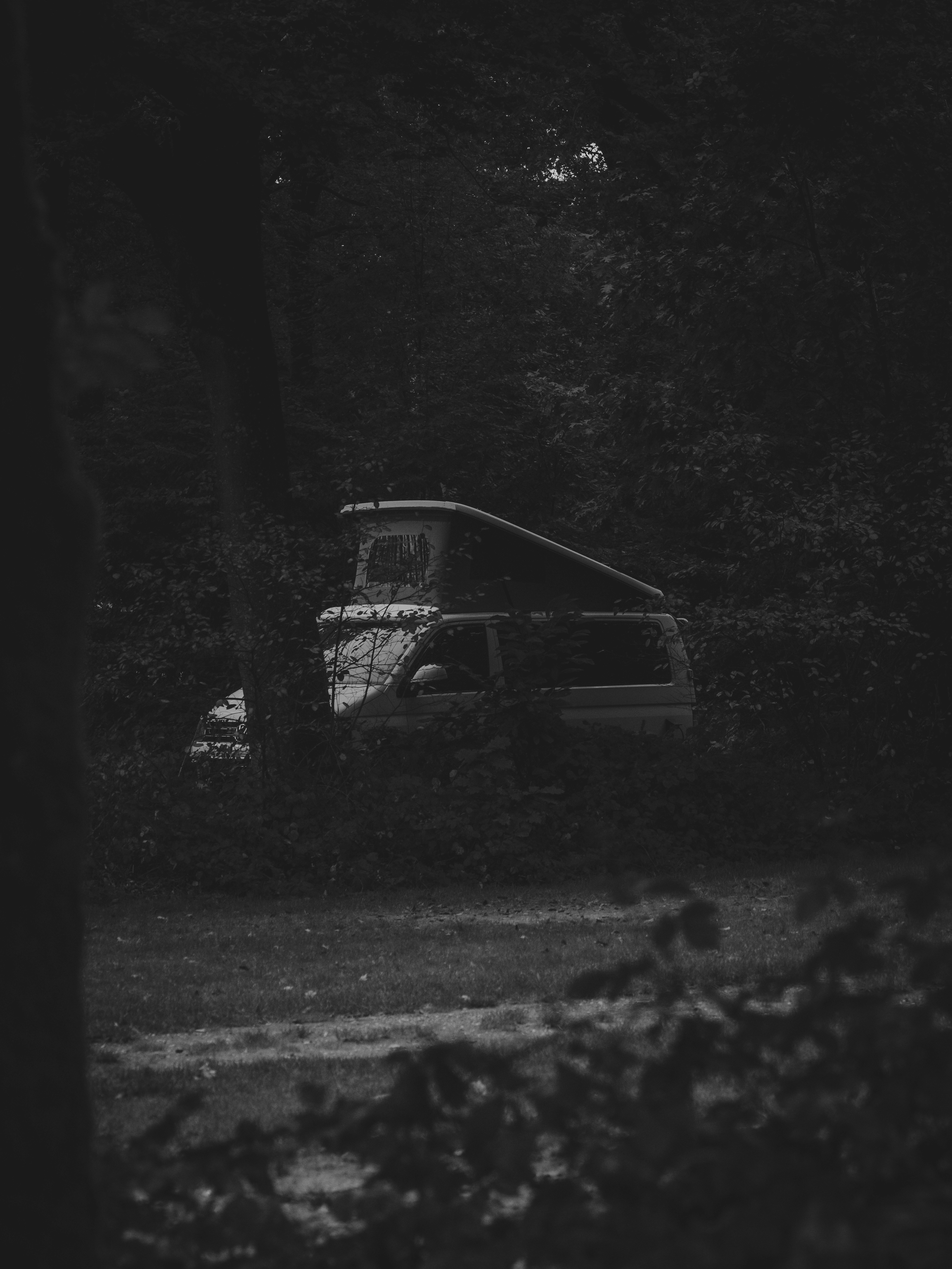 Photo by haberdoedas