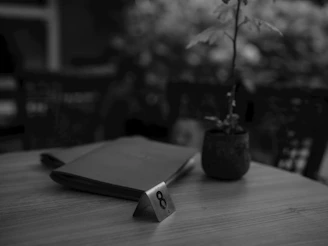 Table number eight with a menu and plant.