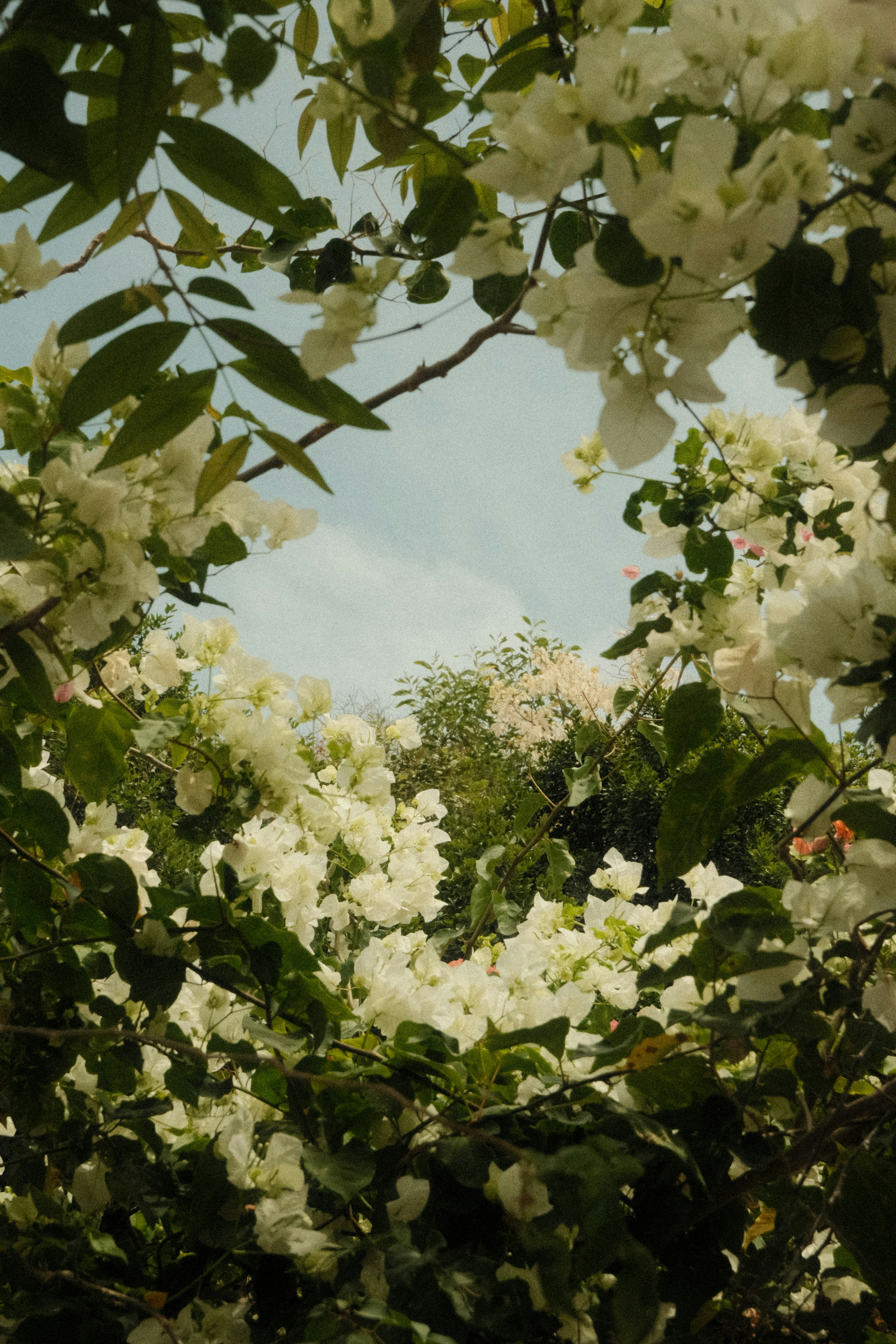 Photo by natalienpngoc