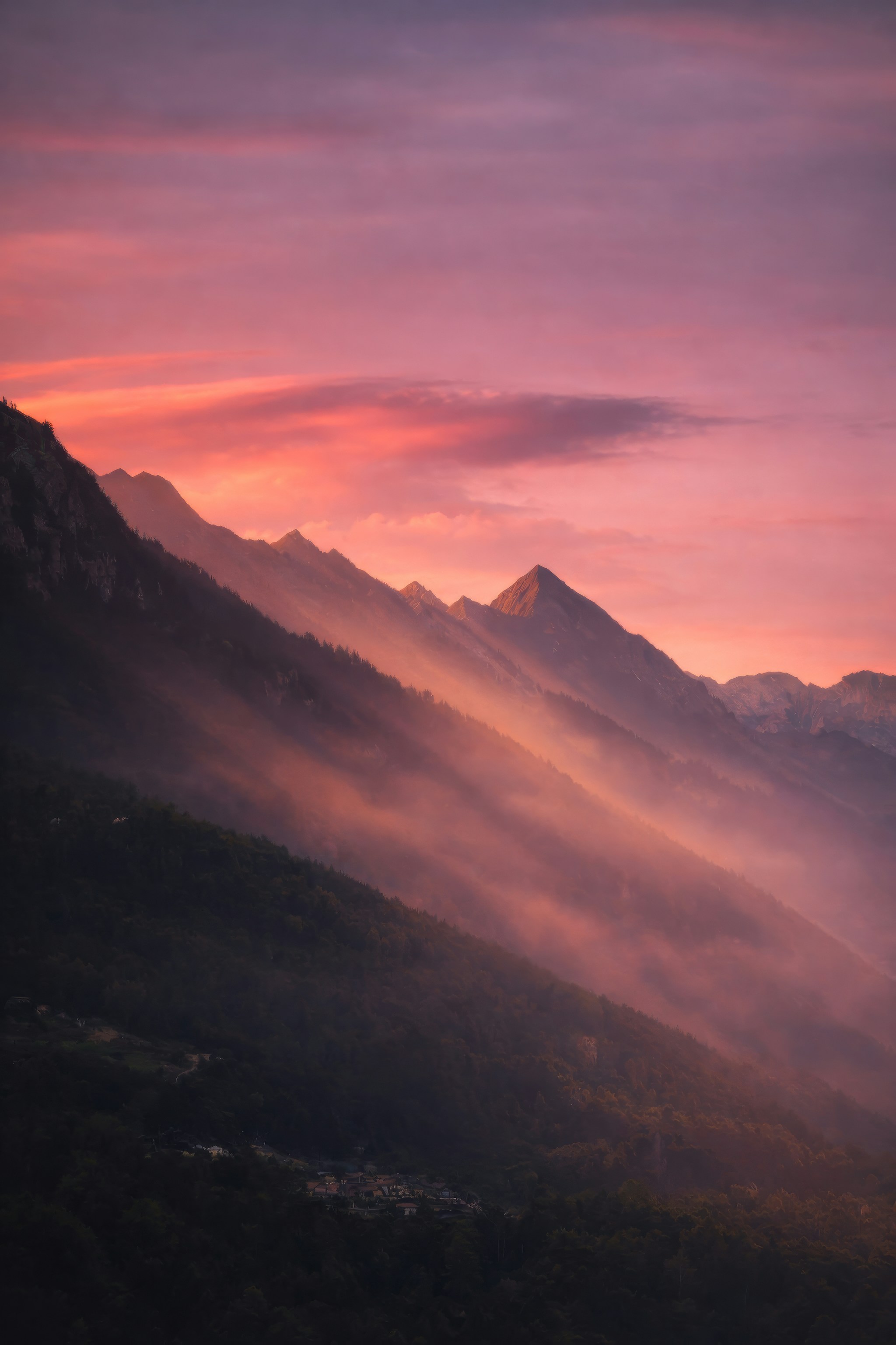 Photo by brunovdkraan