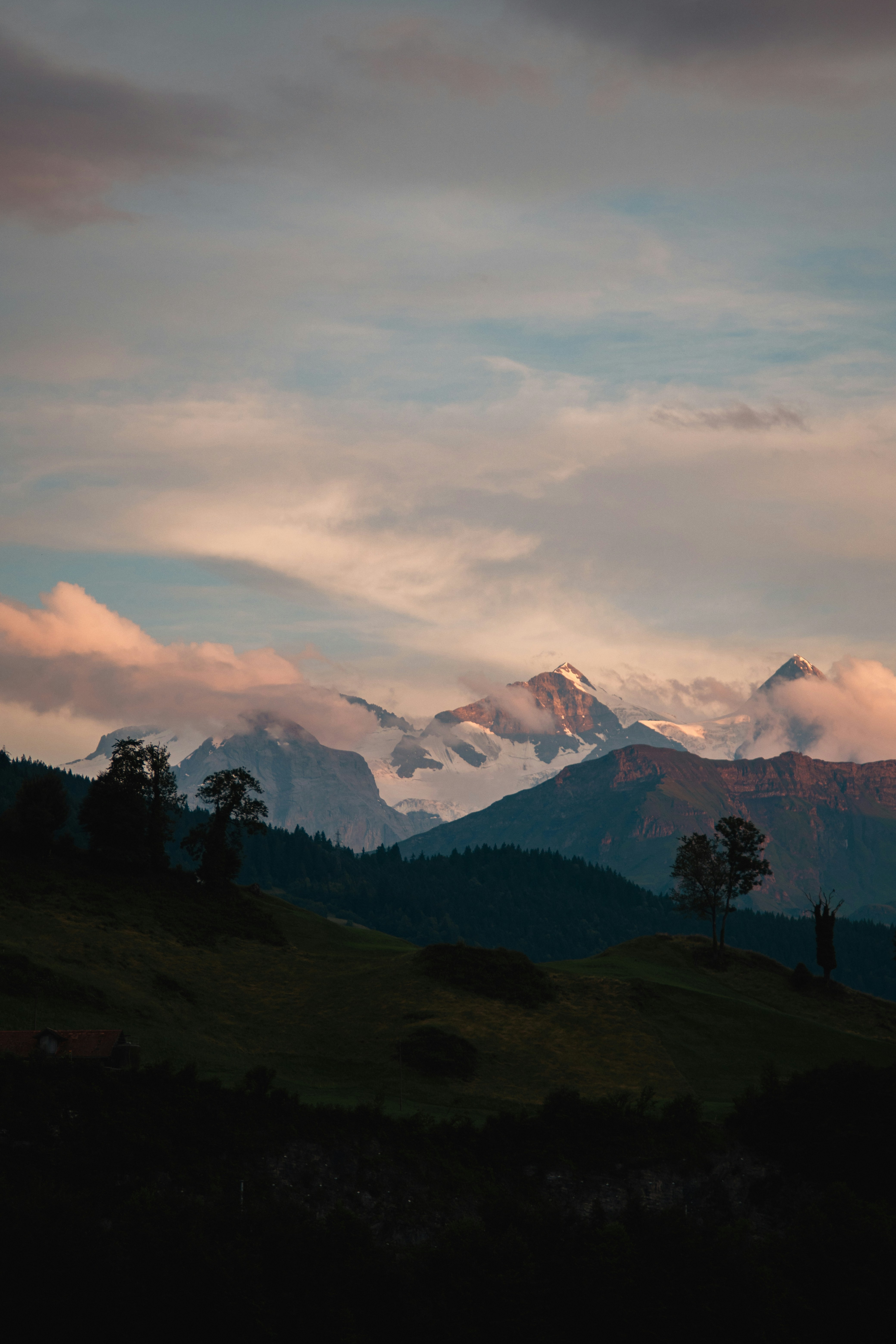 Photo by brunovdkraan