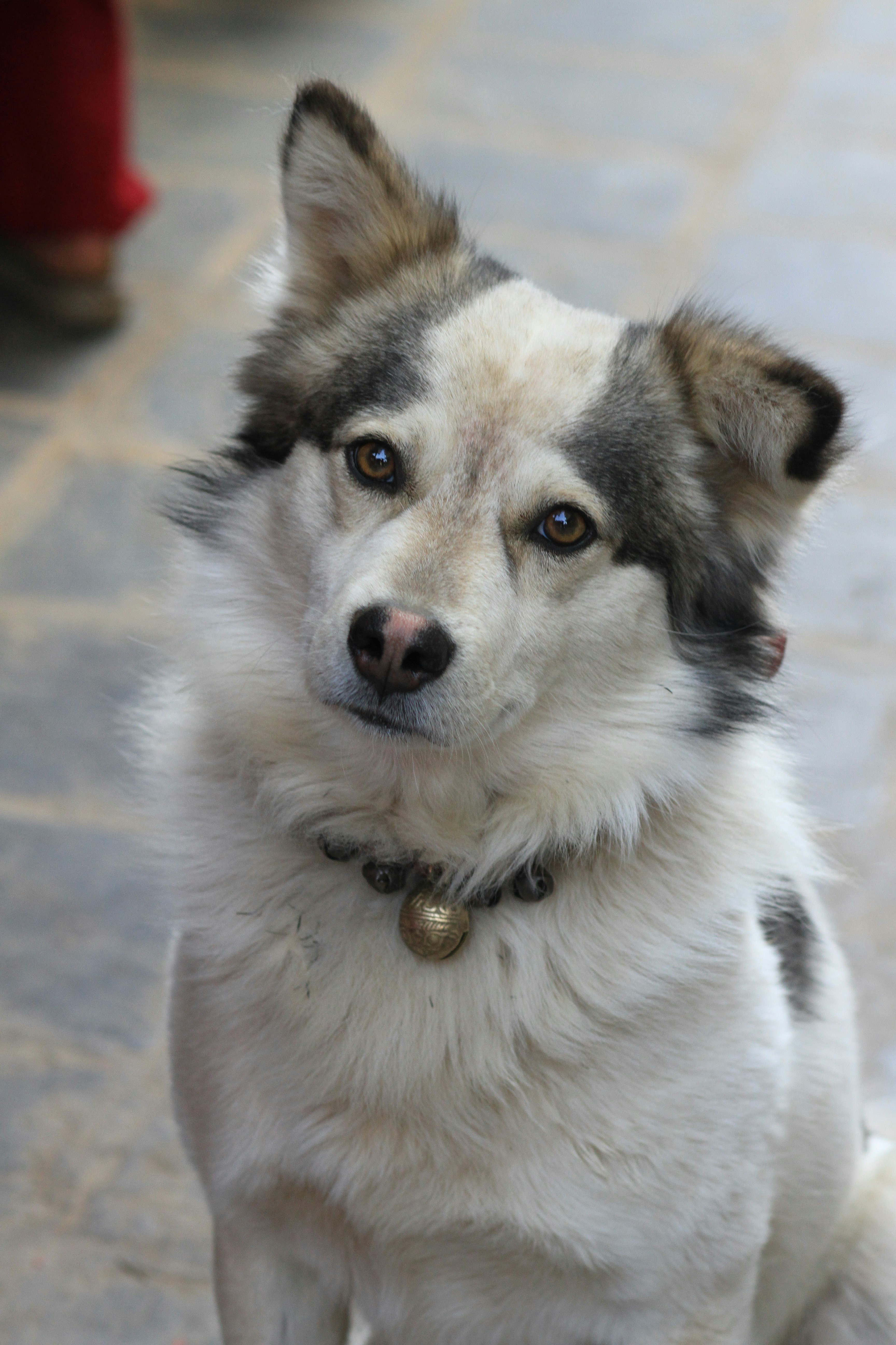 Photo by paarth_takes_photos