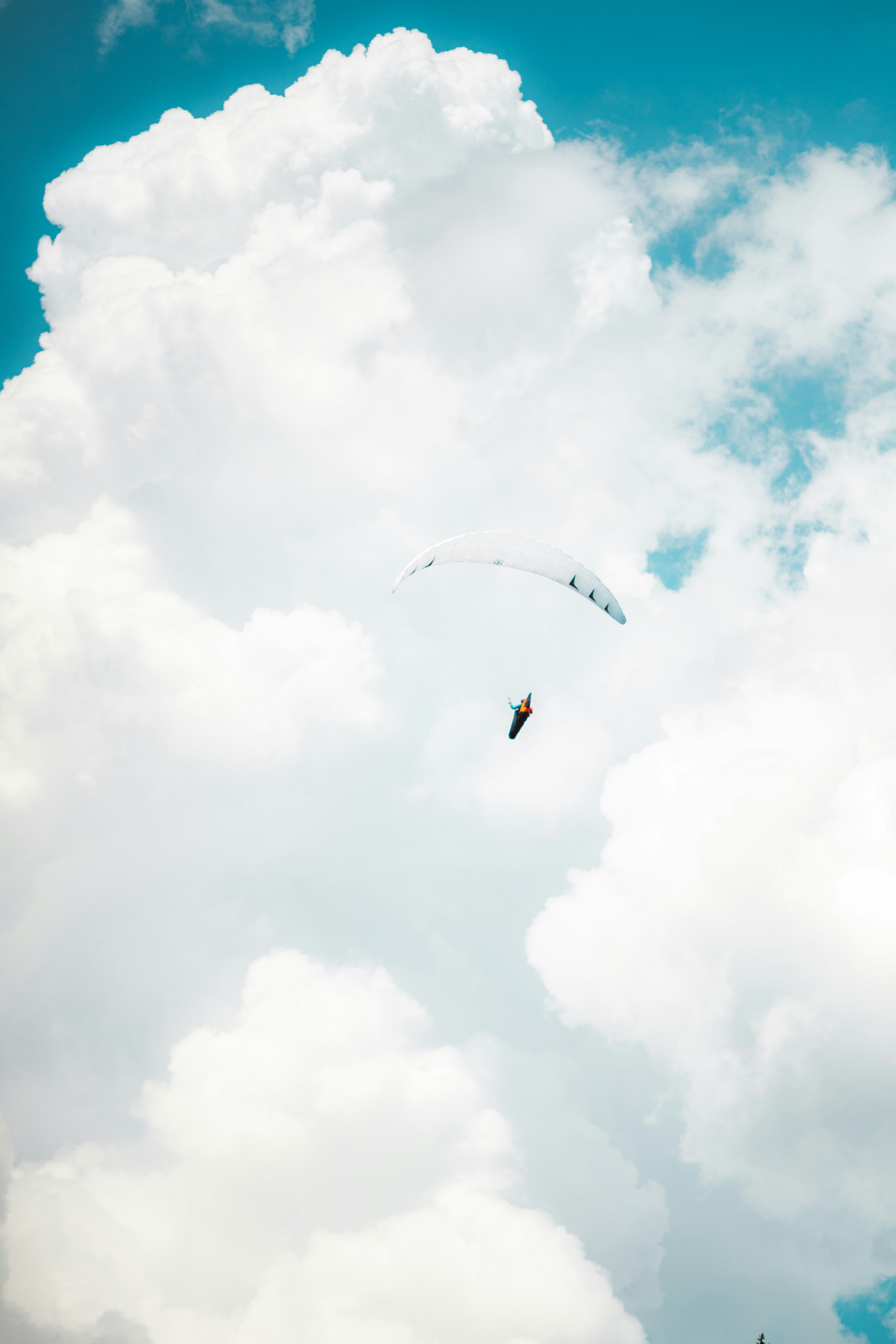 Photo by brunovdkraan