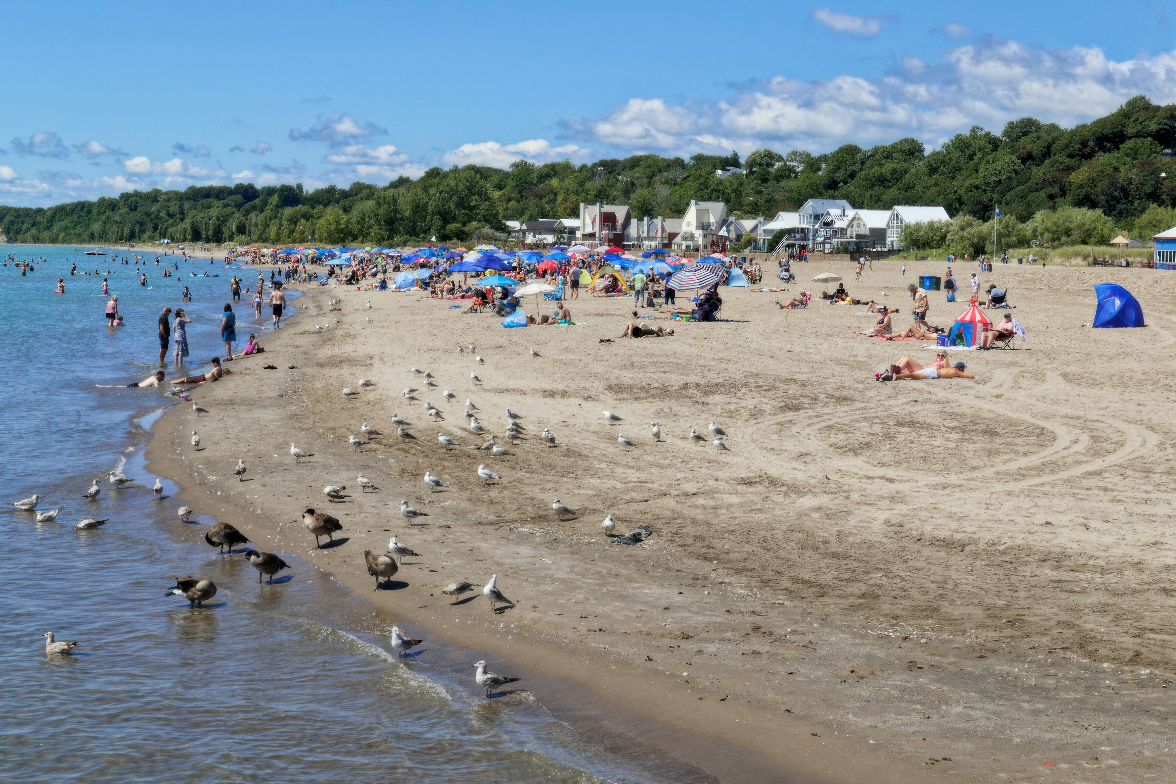 Cedar Beach County Park