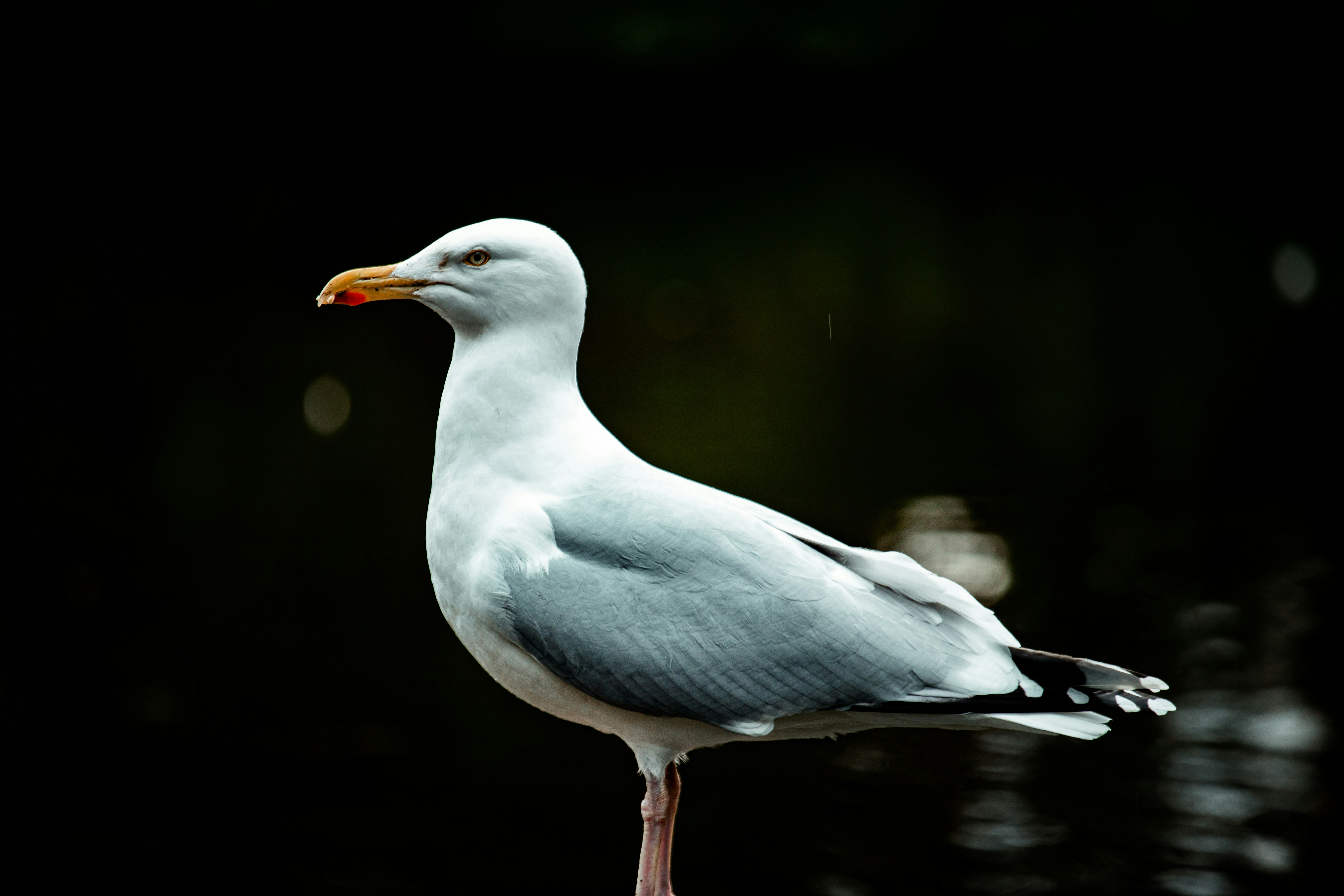 Photo by atelierbyvineeth