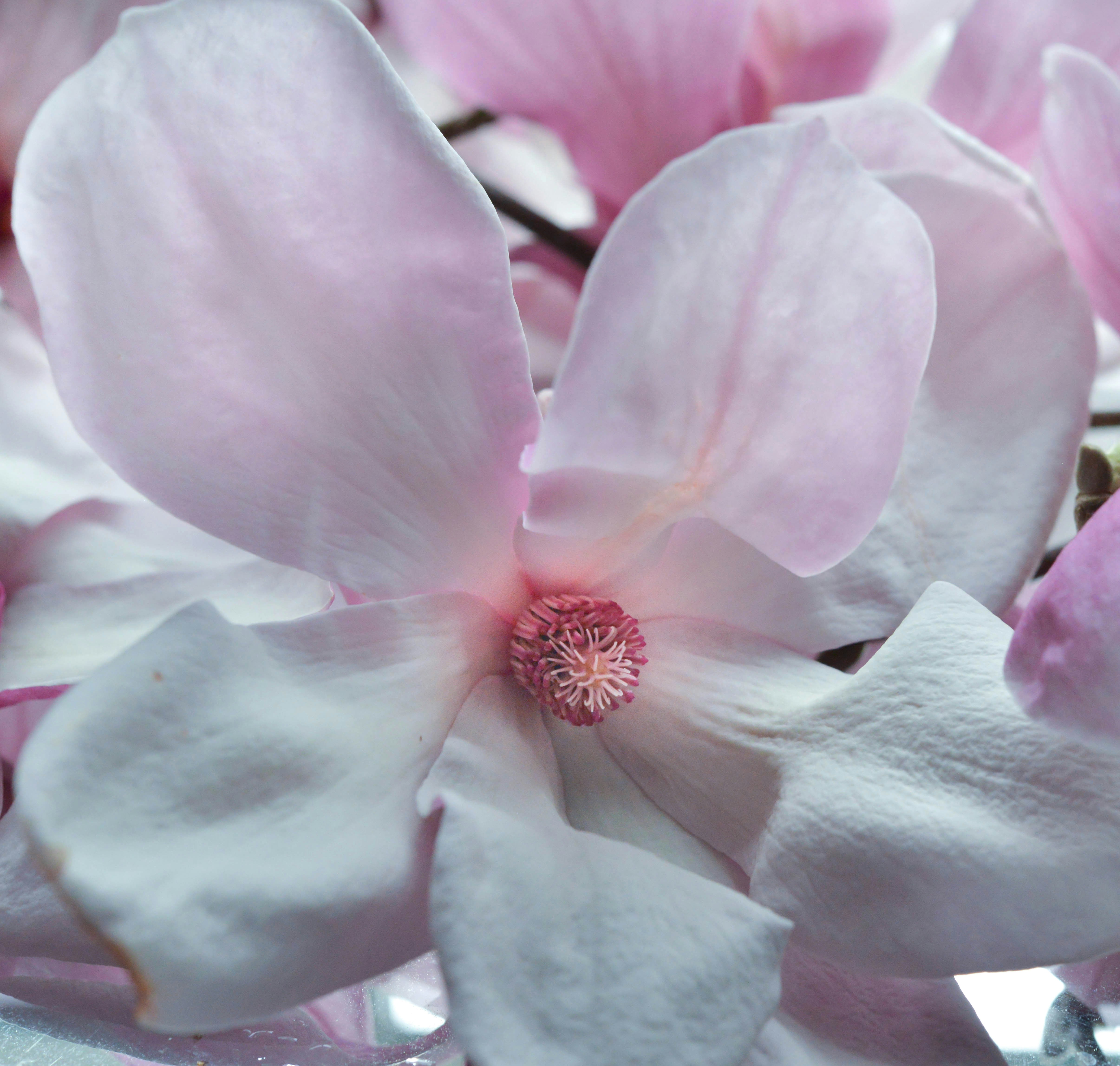 Photo by lightupphotos