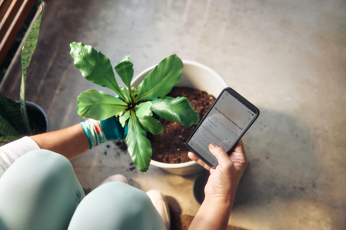 Persona cuidando una planta mientras consulta su teléfono