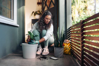 Woman planting a small houseplant in a pot.