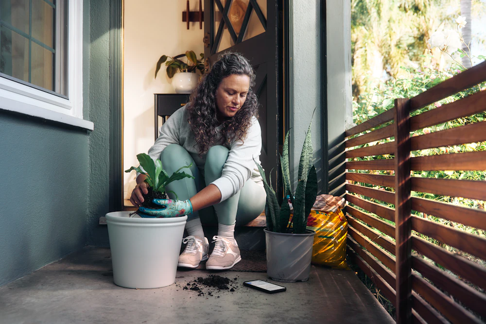 Persona cuidando una planta de interior